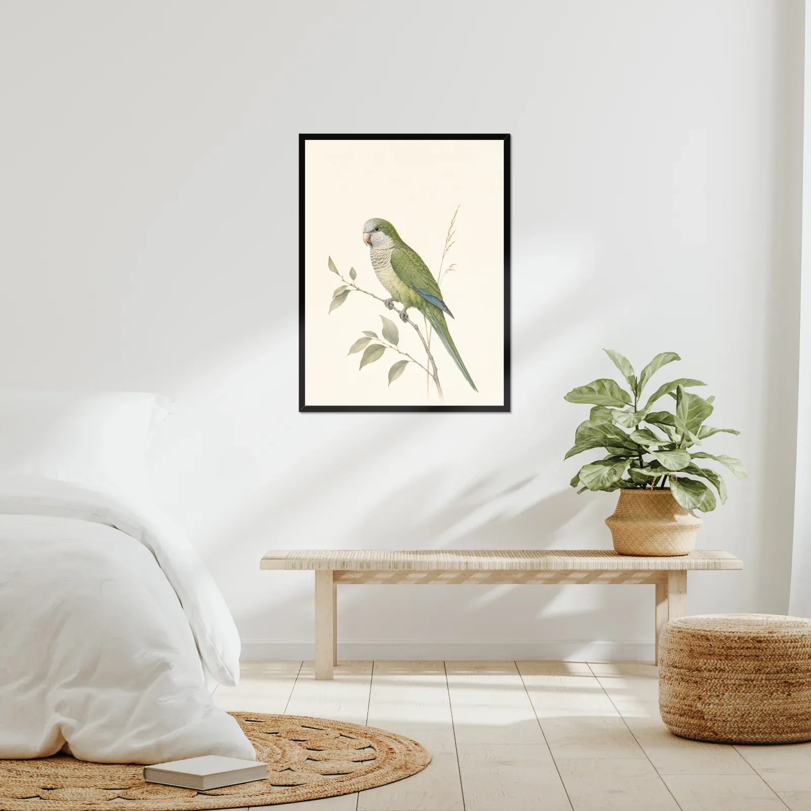 Monk Parakeet Print framed at 24x30 inches, shown on a wall to scale