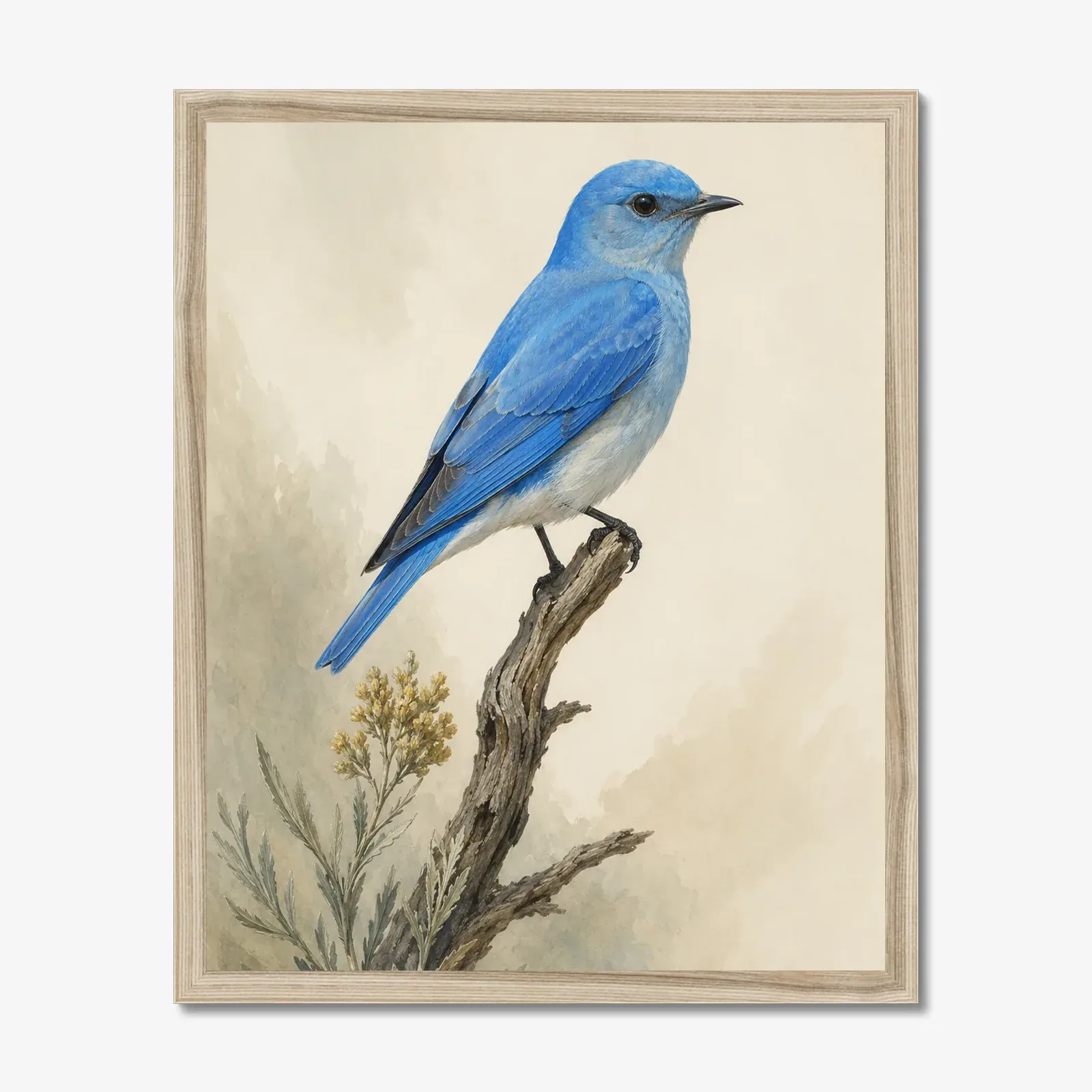 Mountain Bluebird Print in a natural frame
