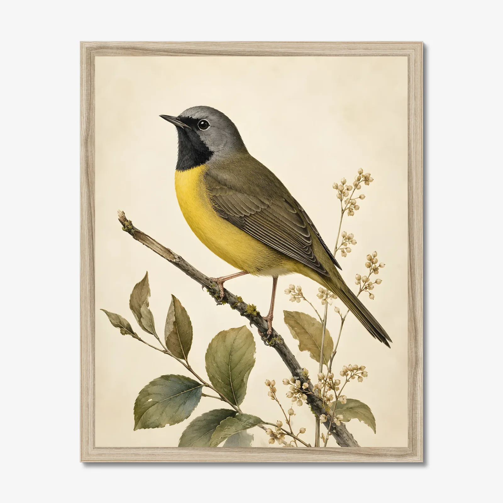 Mourning Warbler Print in a natural frame