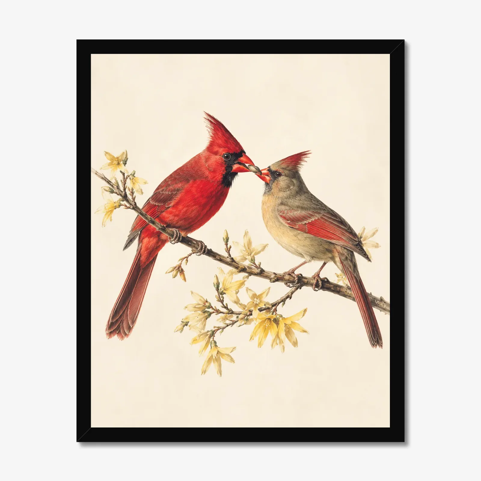Northern Cardinal Print - Courtship Feeding No. 2 in a black frame