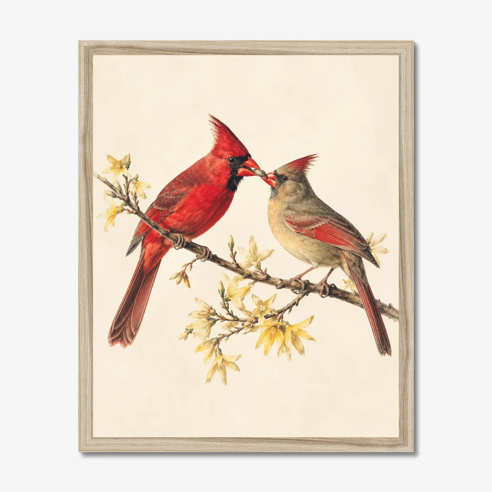 Northern Cardinal Print - Courtship Feeding No. 2 in a natural frame
