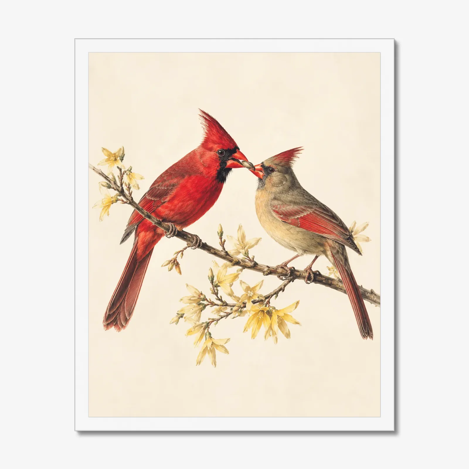 Northern Cardinal Print - Courtship Feeding No. 2 in a white frame