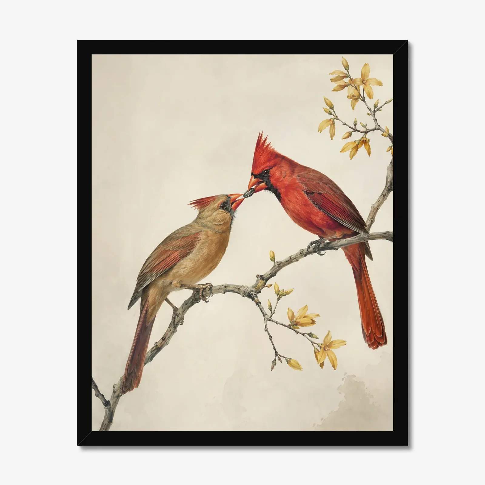 Northern Cardinal Print - Courtship Feeding in a black frame