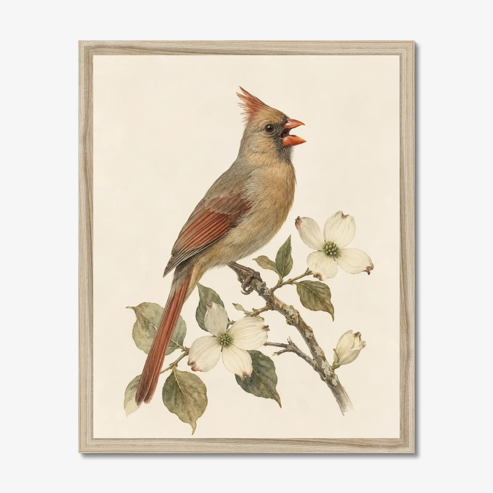 Northern Cardinal Print - Female Perched shown as a fine-art print