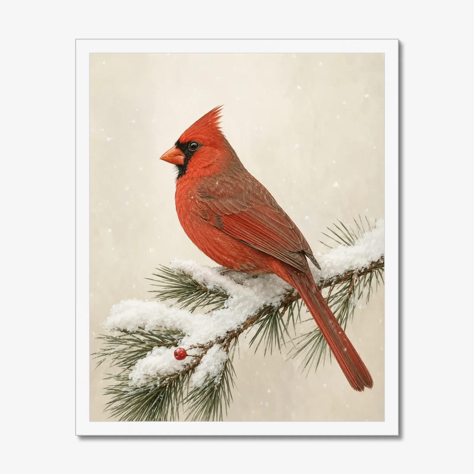 Northern Cardinal Print - Male in Snow in a white frame