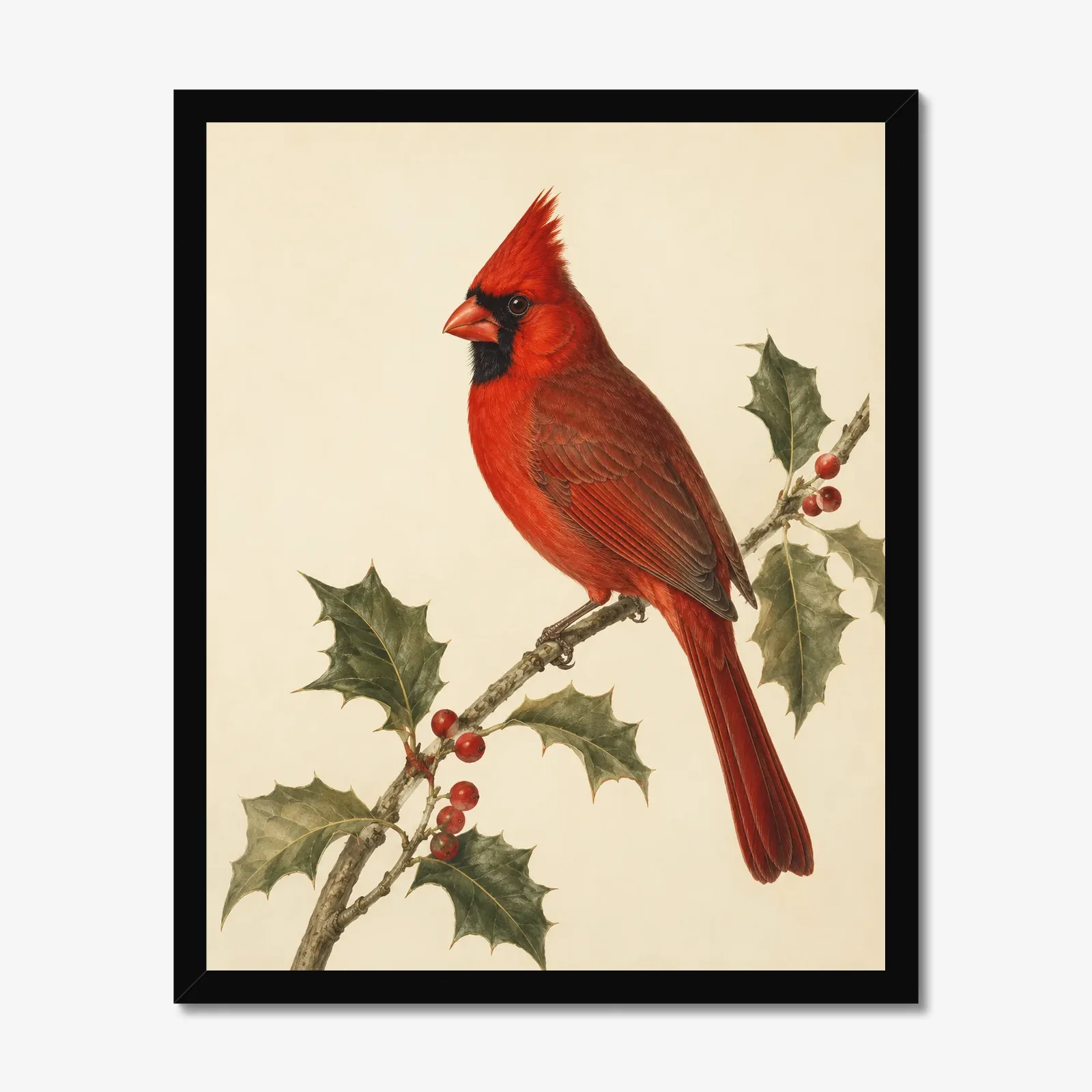 Northern Cardinal Print - Male Perched in a black frame