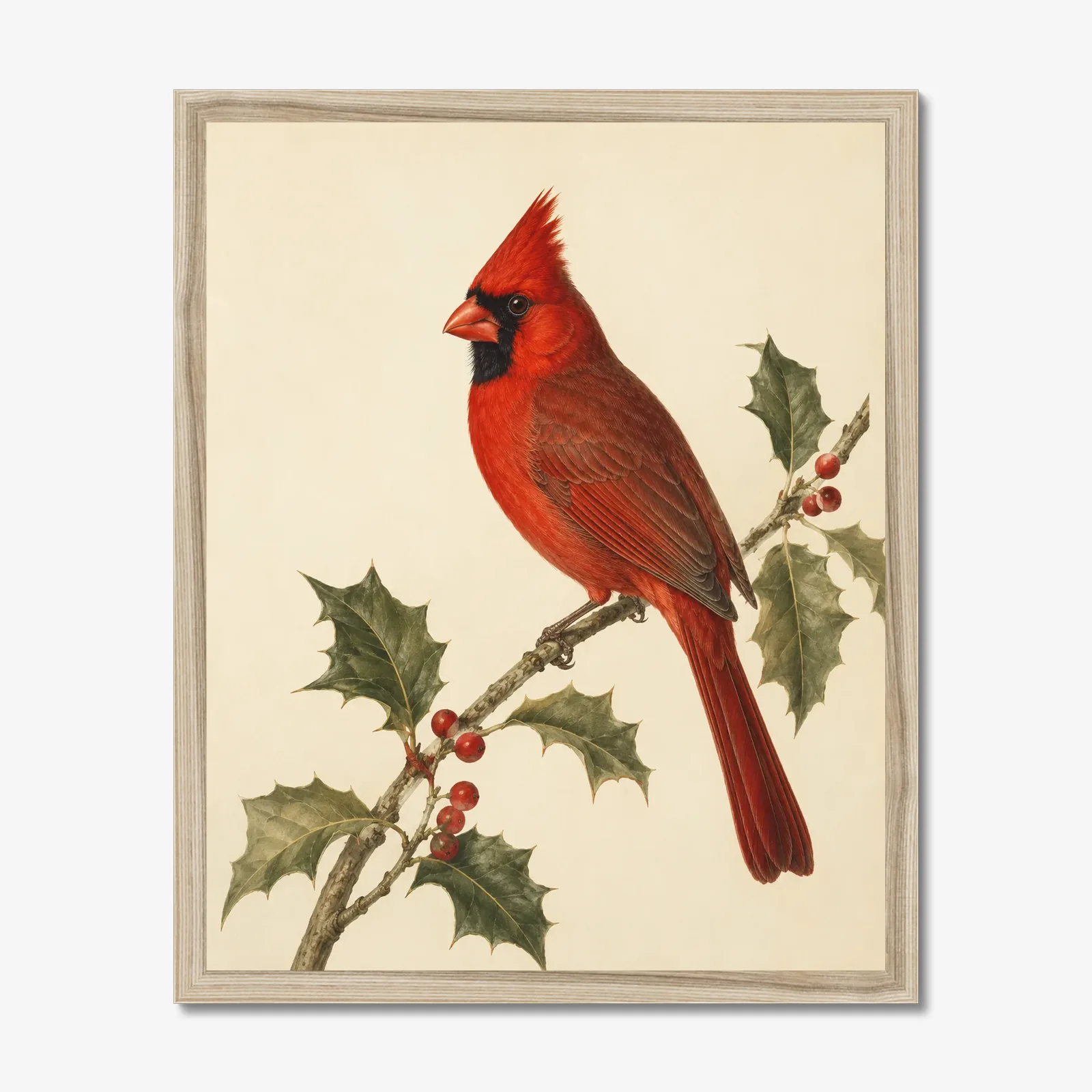 Northern Cardinal Print - Male Perched in a natural frame