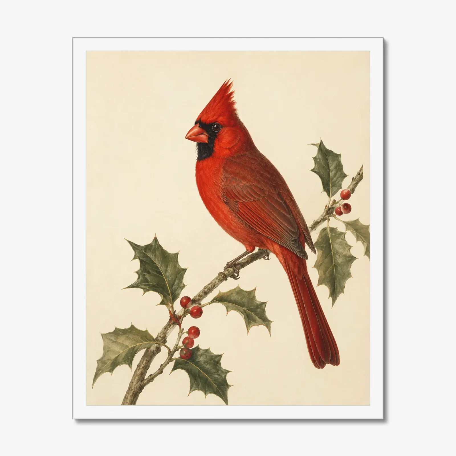 Northern Cardinal Print - Male Perched in a white frame