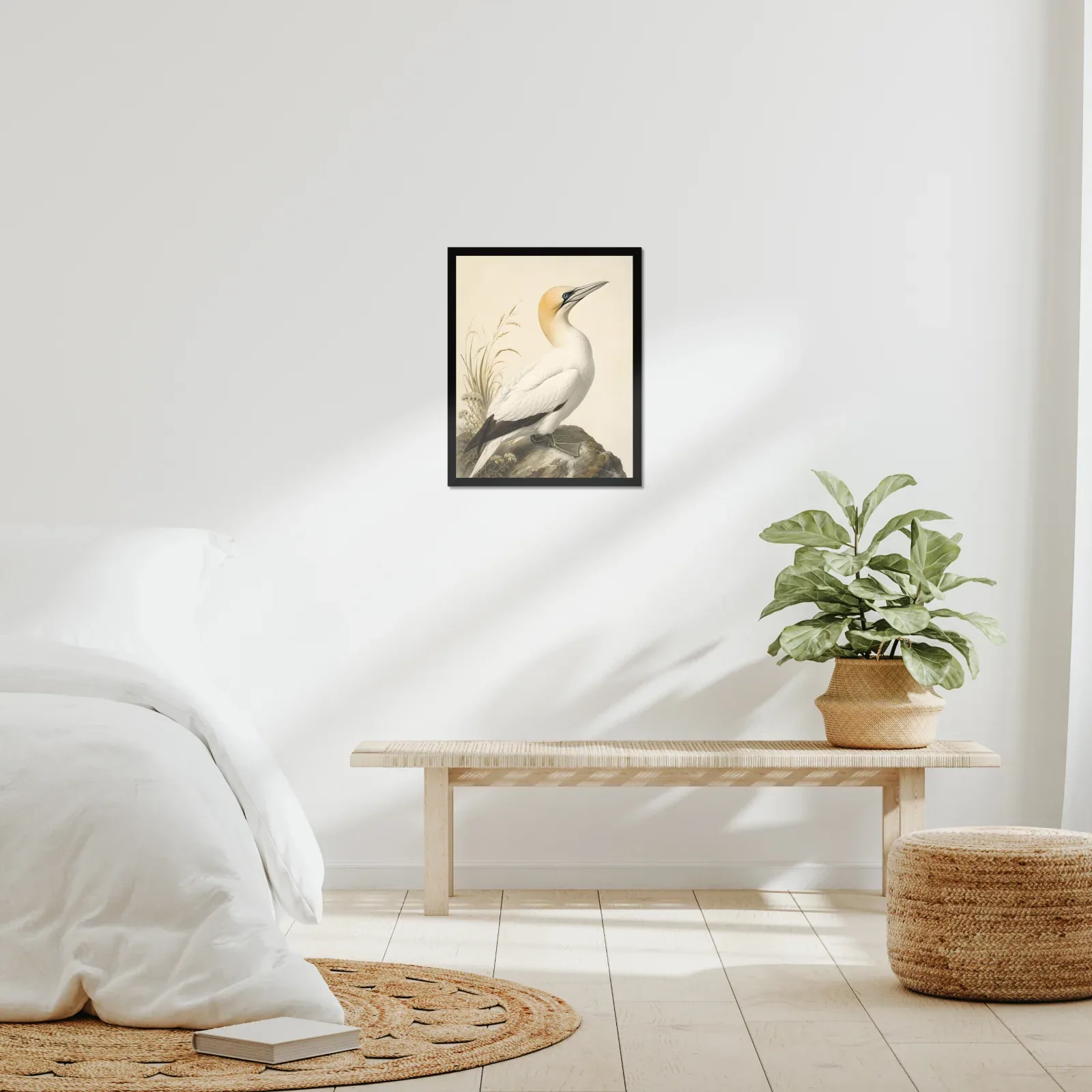 Northern Gannet Print framed at 16x20 inches, shown on a wall to scale