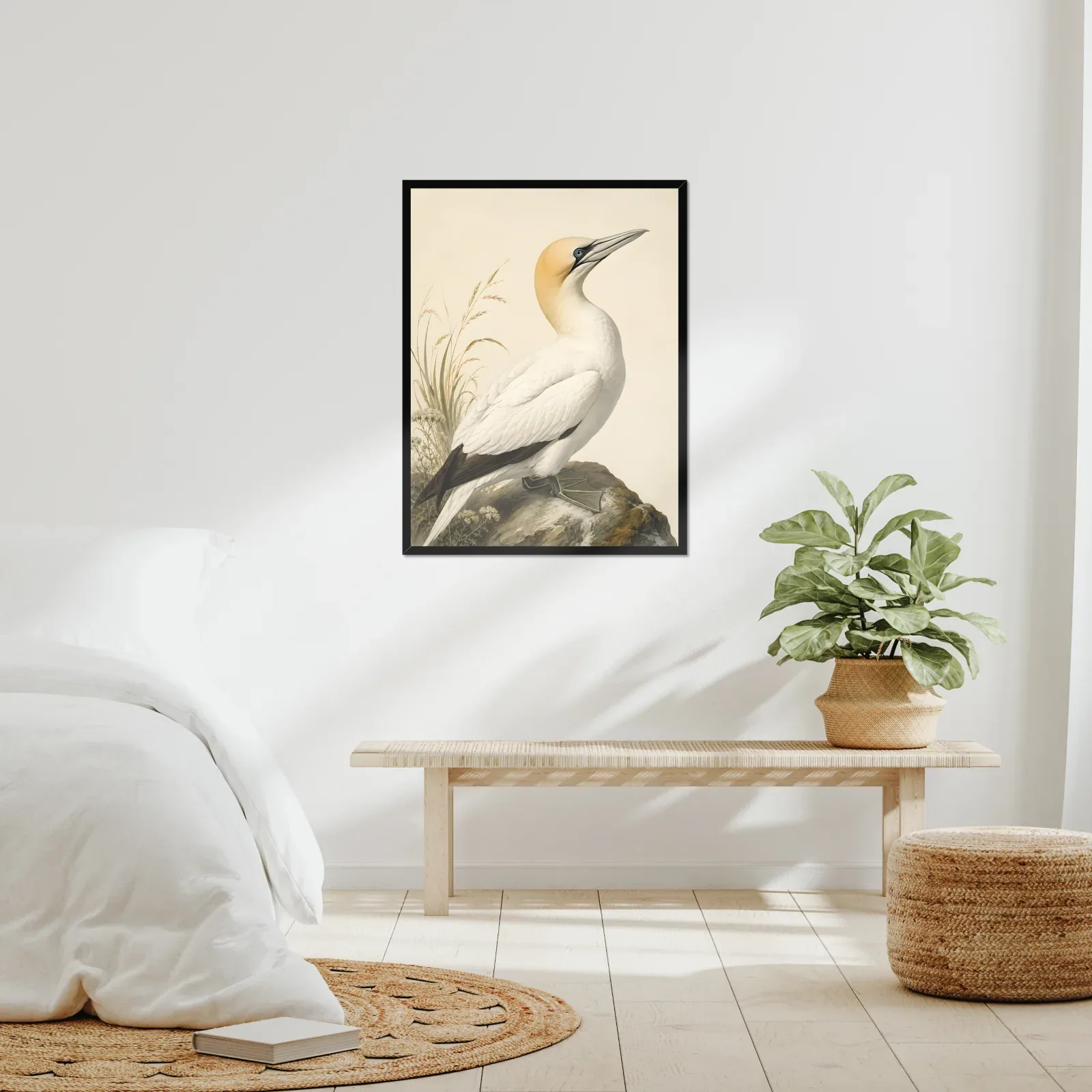 Northern Gannet Print framed at 24x30 inches, shown on a wall to scale