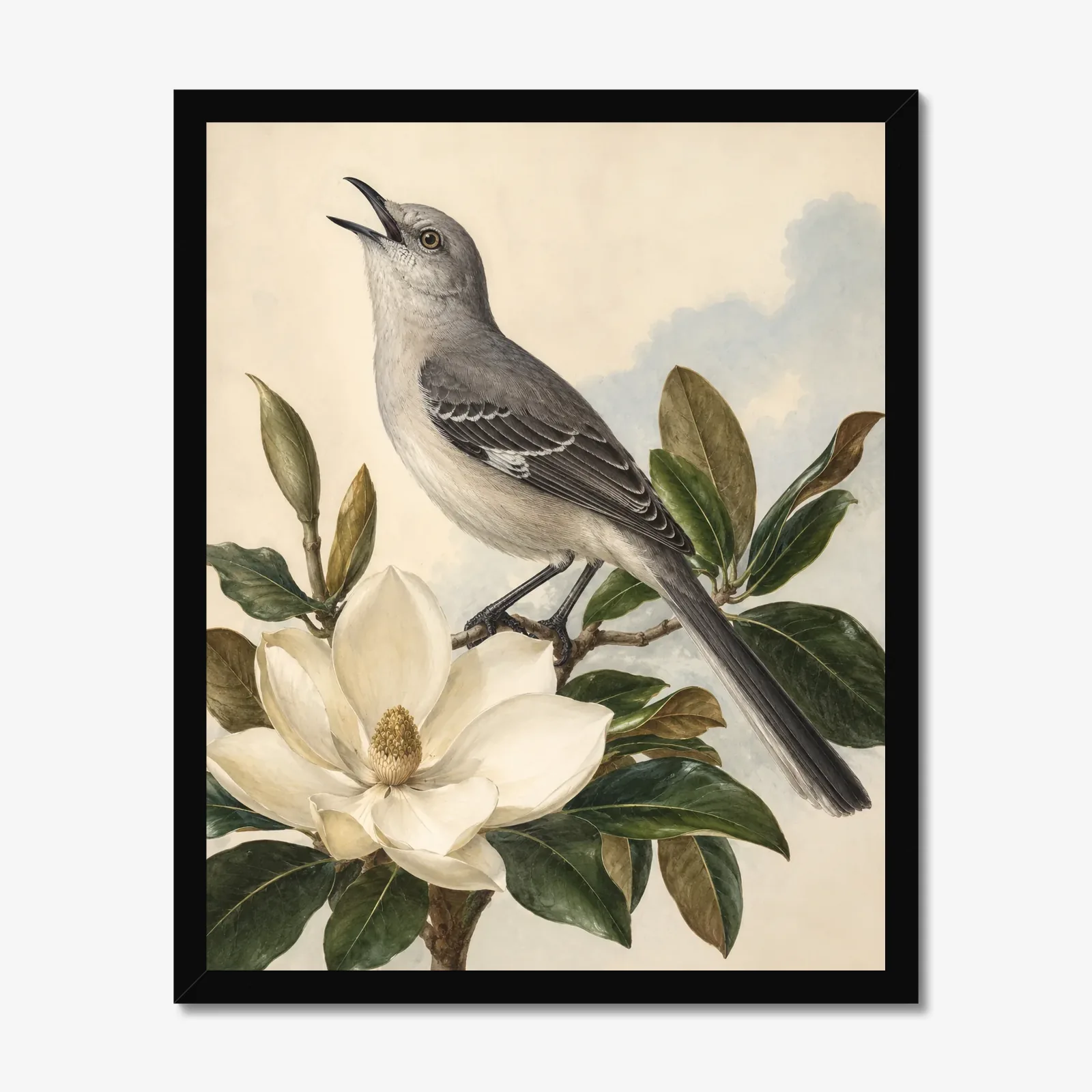 Northern Mockingbird Print in a black frame