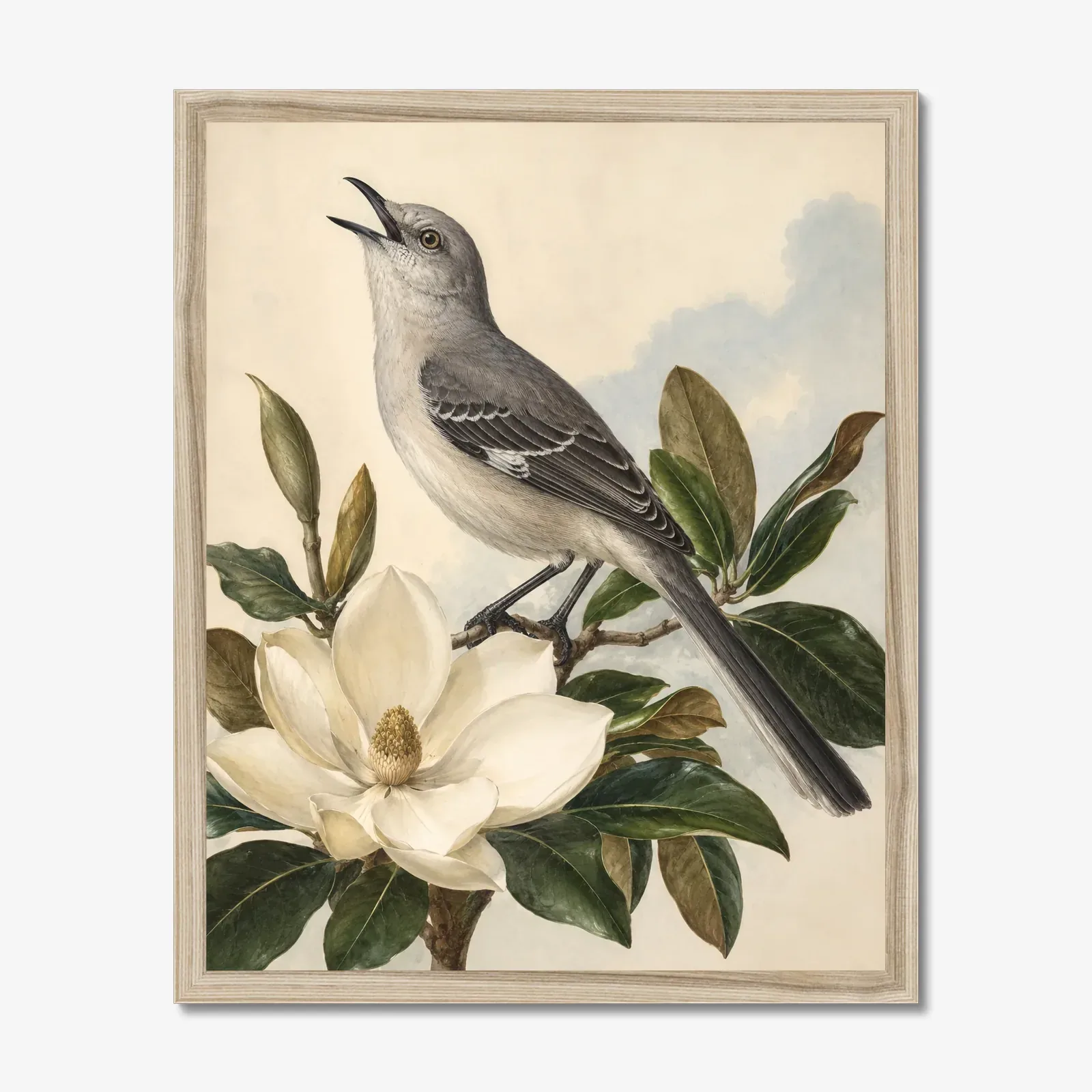 Northern Mockingbird Print in a natural frame