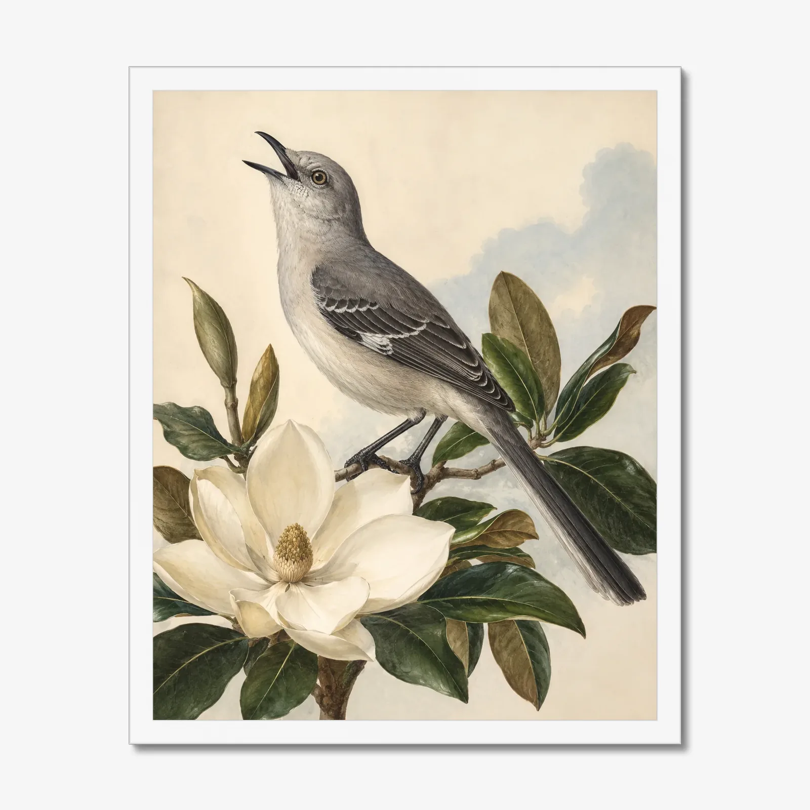 Northern Mockingbird Print in a white frame