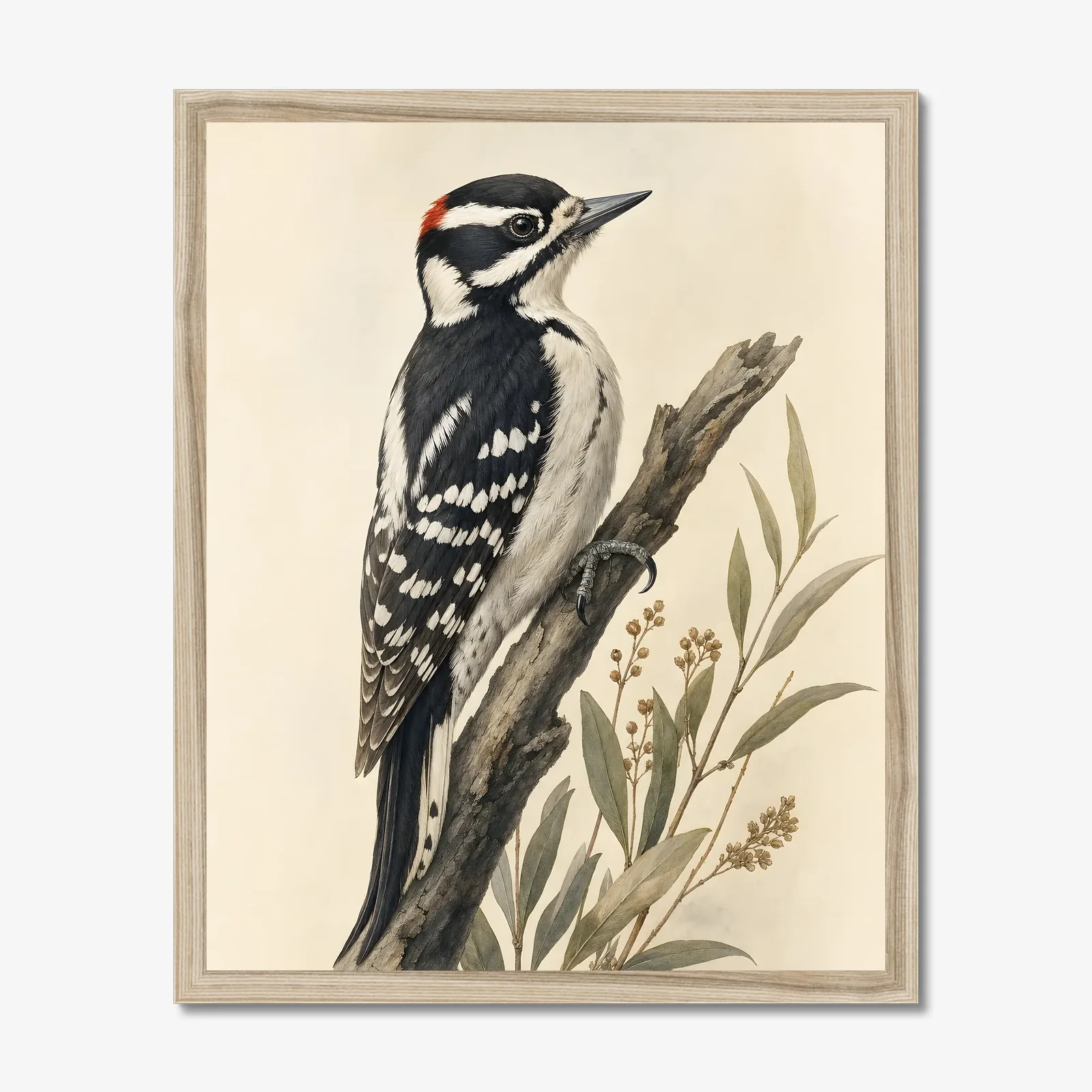 Nuttall's Woodpecker Print in a natural frame