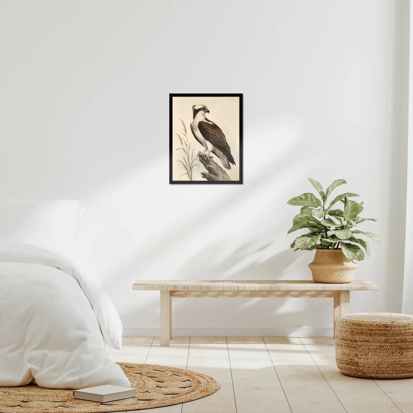 Osprey Print framed at 16x20 inches, shown on a wall to scale