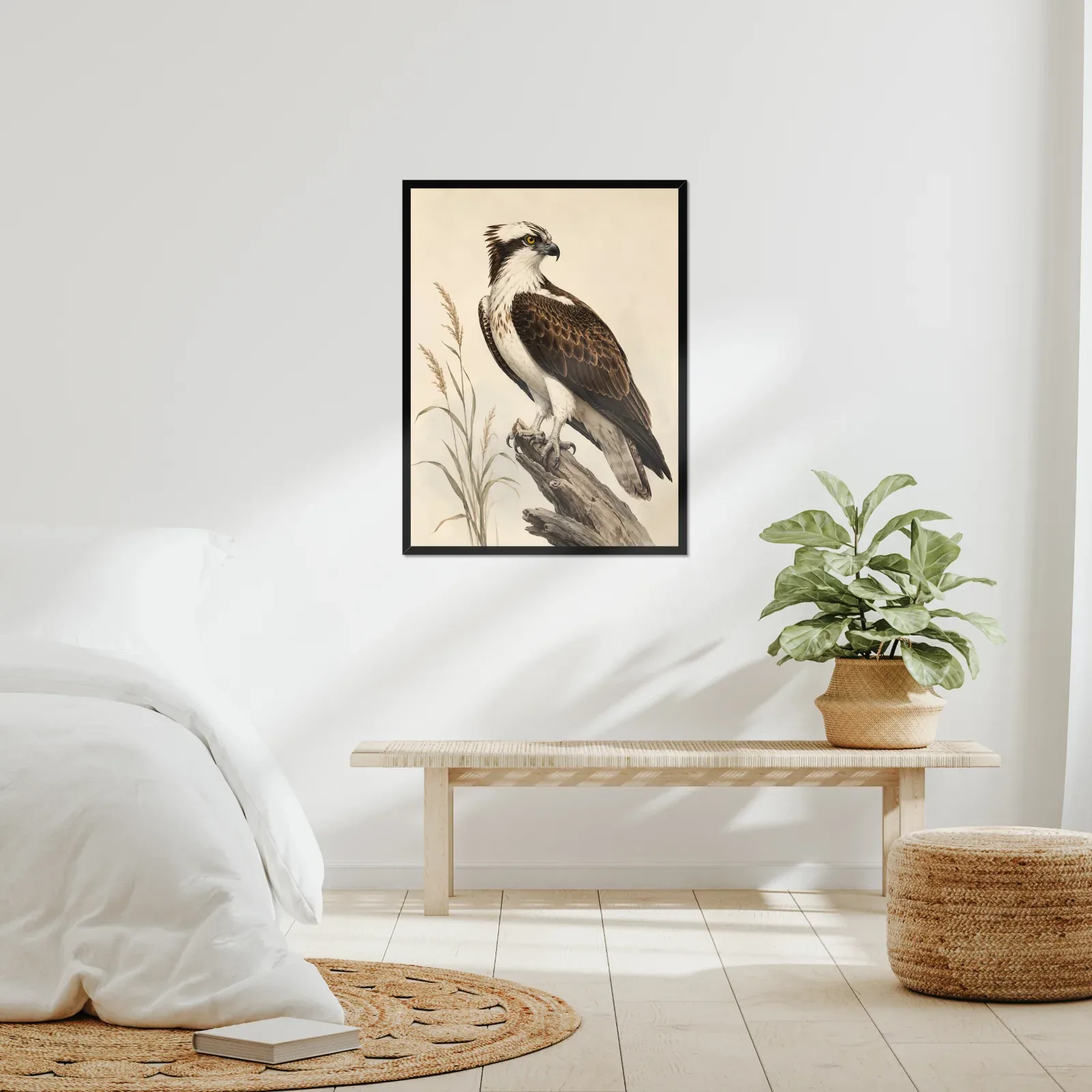 Osprey Print framed at 24x30 inches, shown on a wall to scale