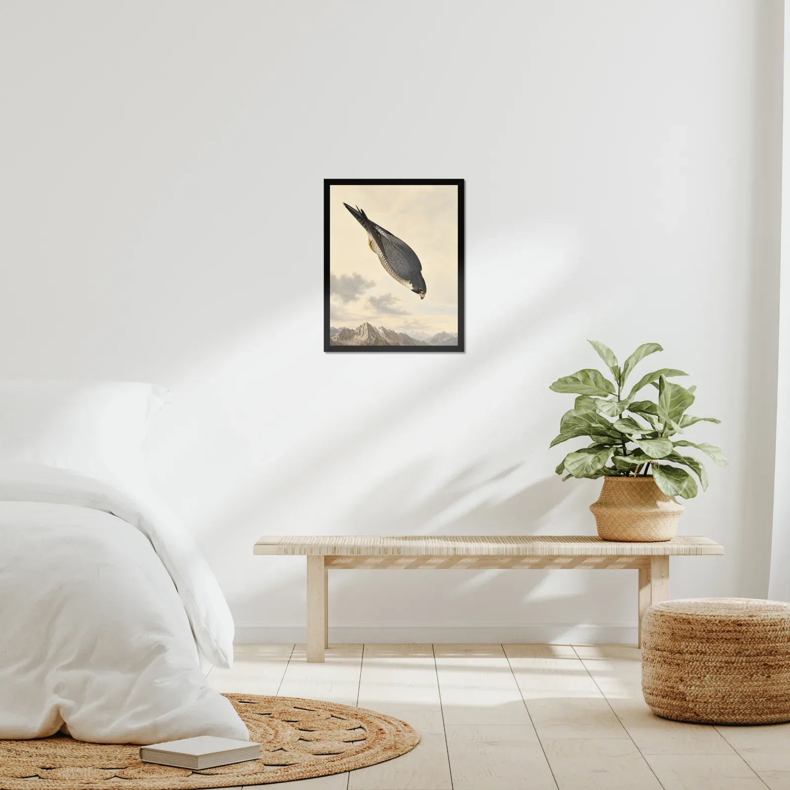 Peregrine Falcon Print framed at 16x20 inches, shown on a wall to scale