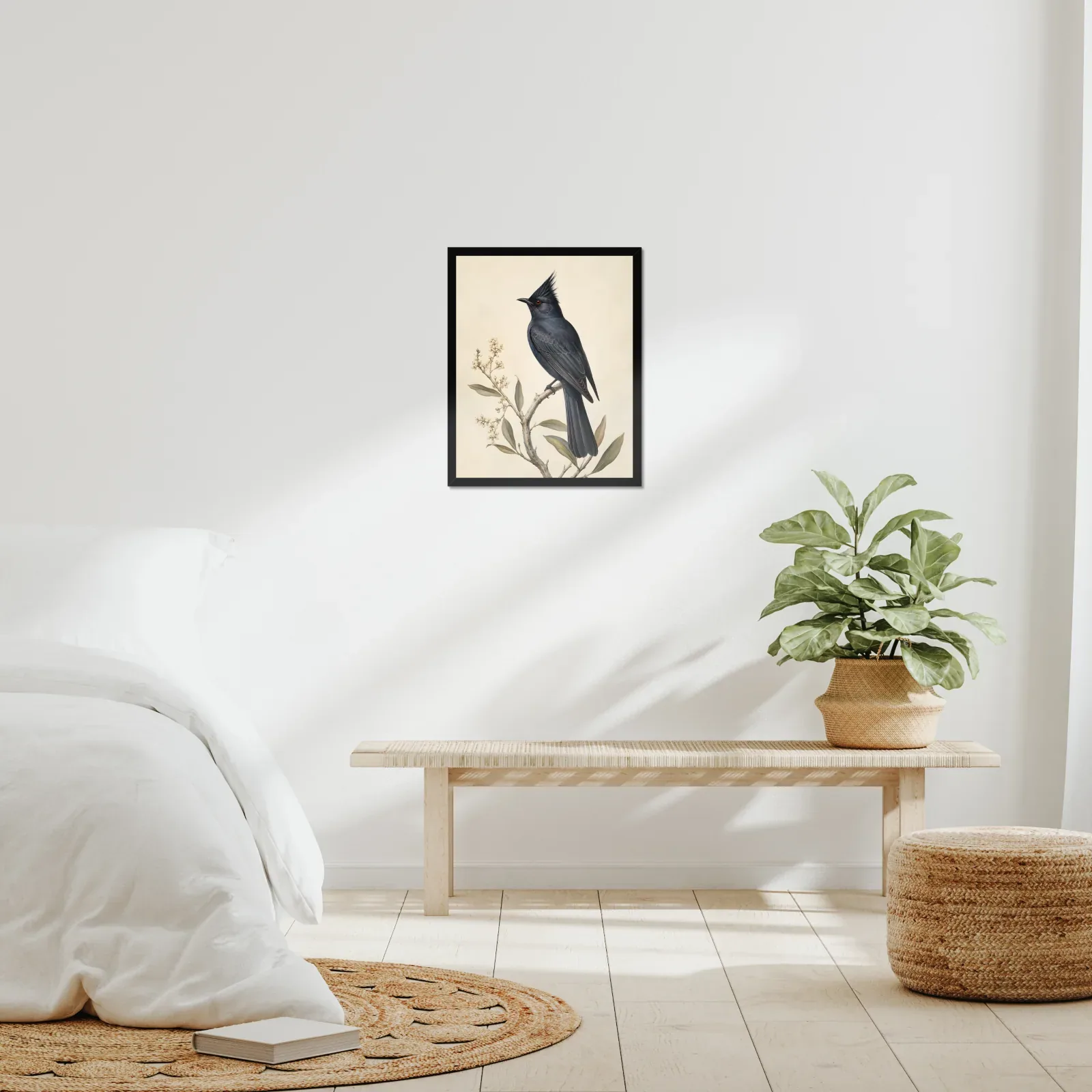 Phainopepla Print framed at 16x20 inches, shown on a wall to scale