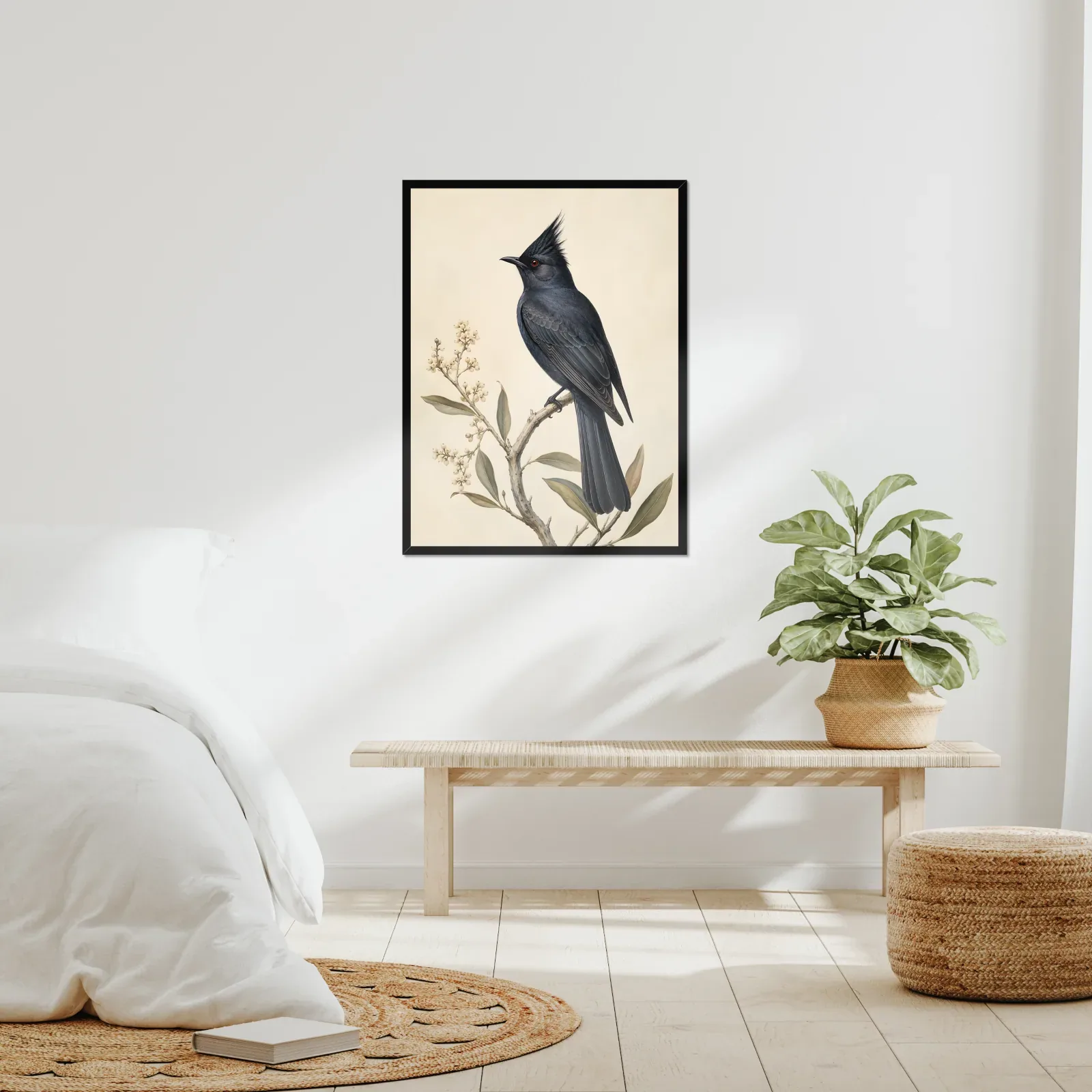 Phainopepla Print framed at 24x30 inches, shown on a wall to scale