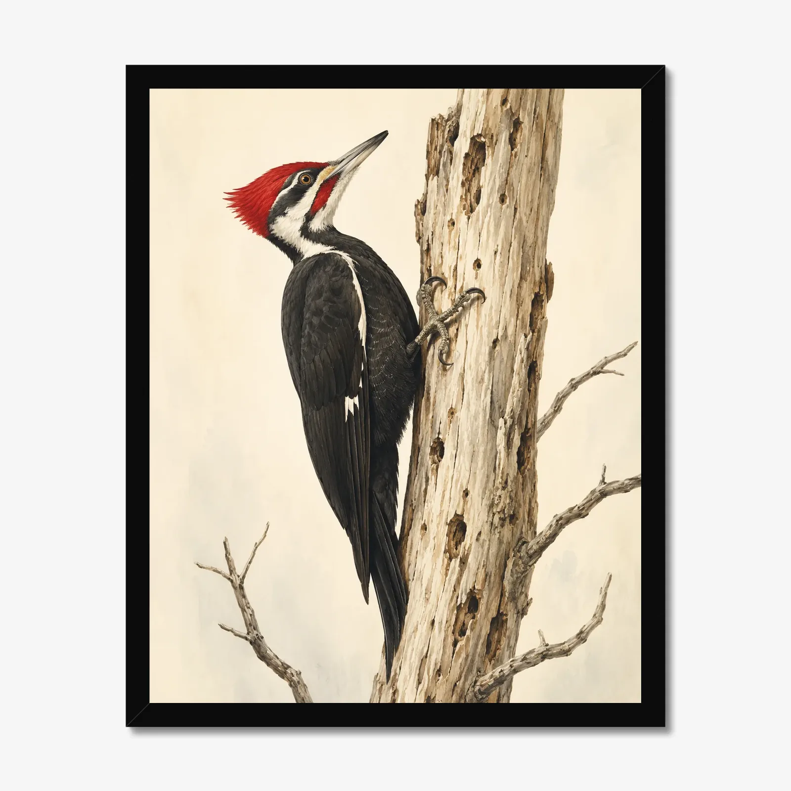 Pileated Woodpecker Print in a black frame