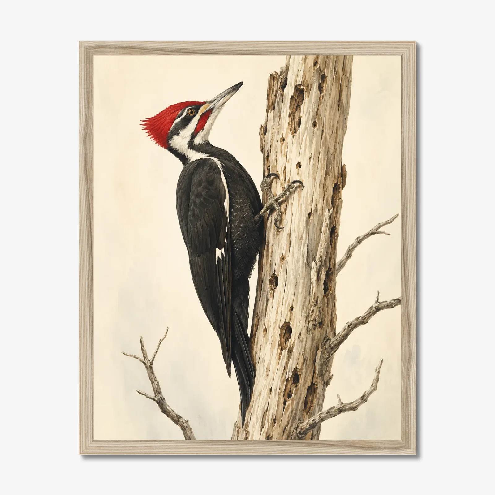 Pileated Woodpecker Print in a natural frame