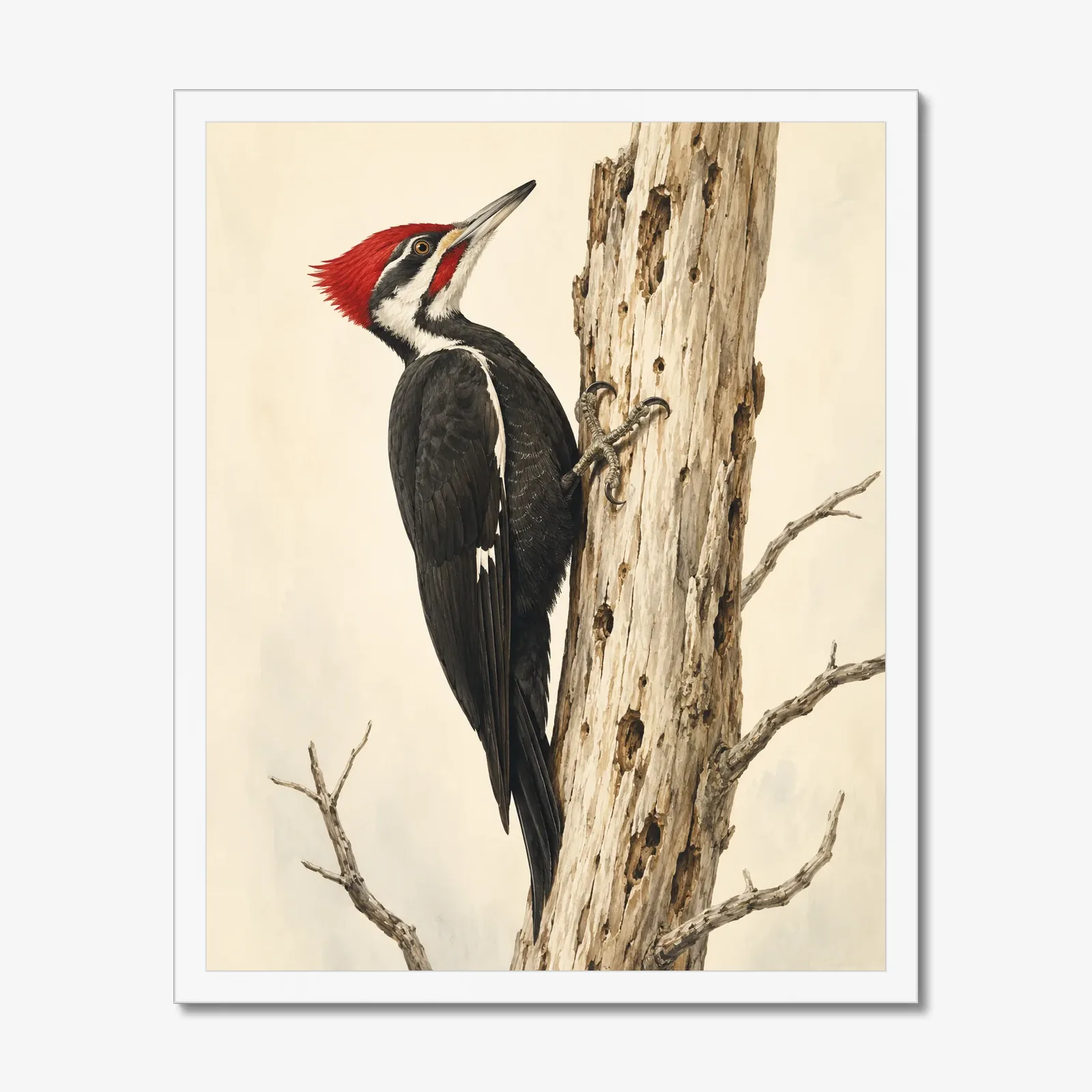 Pileated Woodpecker Print in a white frame