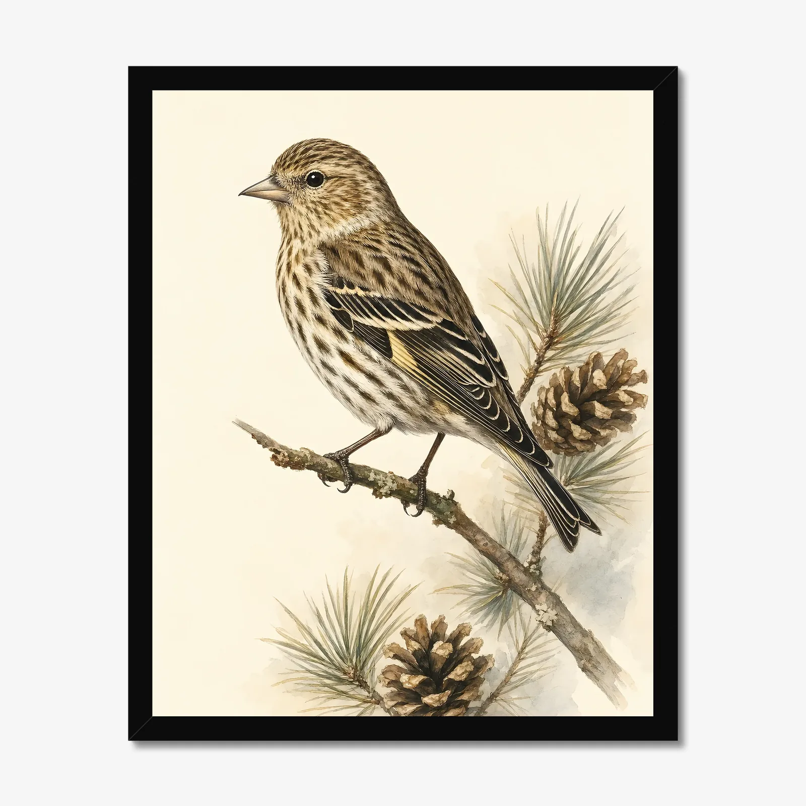Pine Siskin Print in a black frame