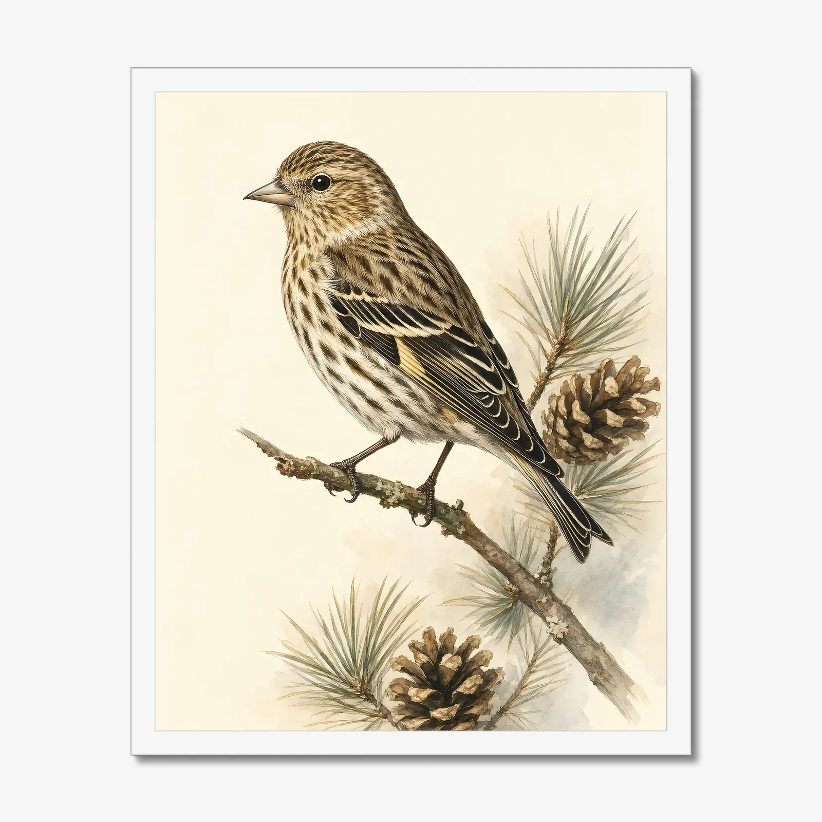 Pine Siskin Print in a white frame