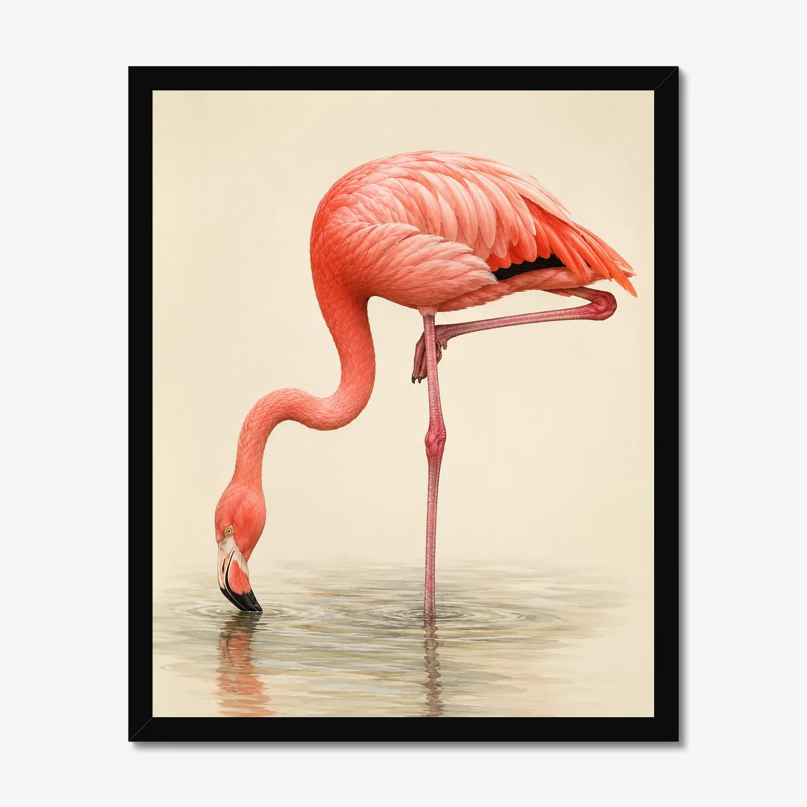 American Flamingo Print in a black frame
