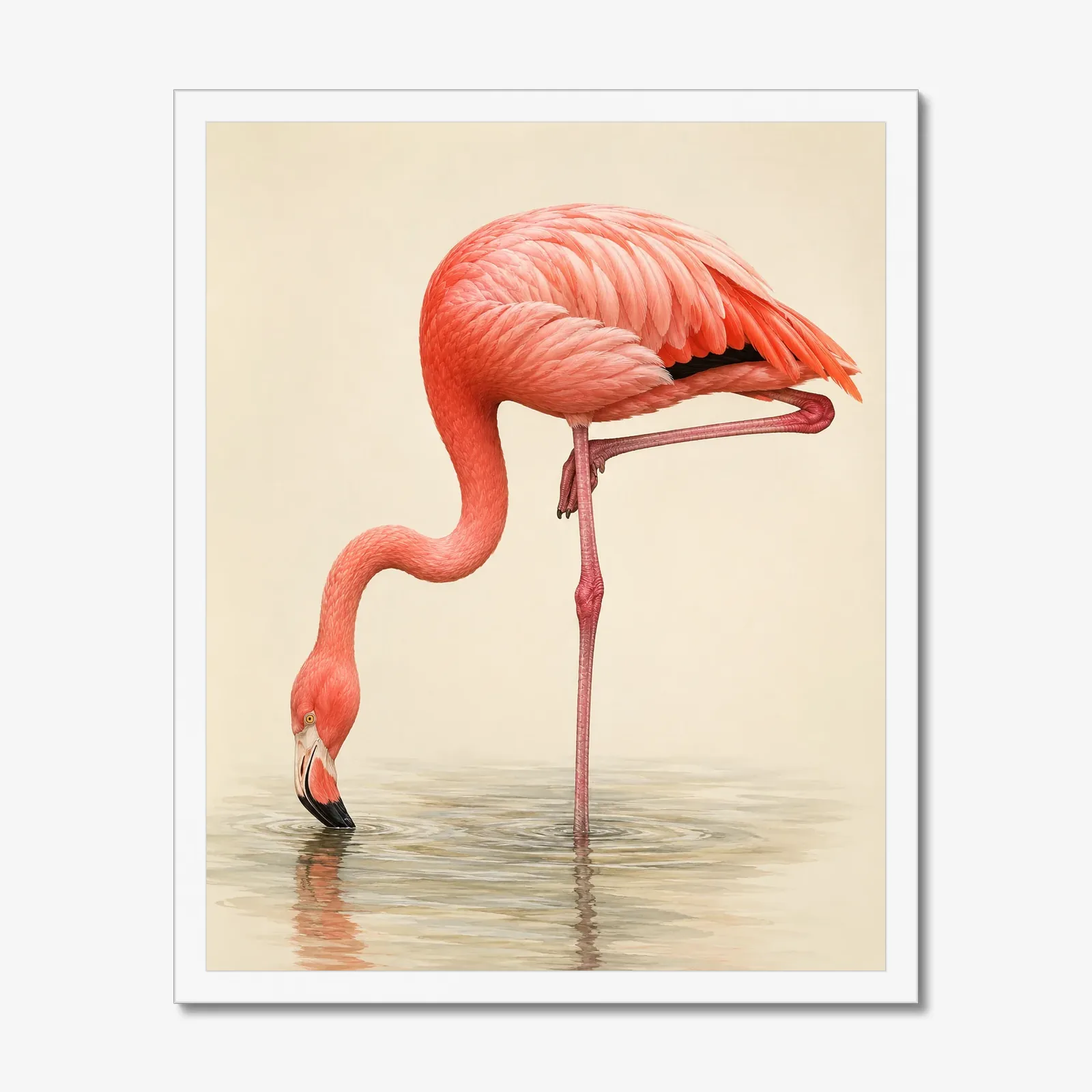 American Flamingo Print in a white frame
