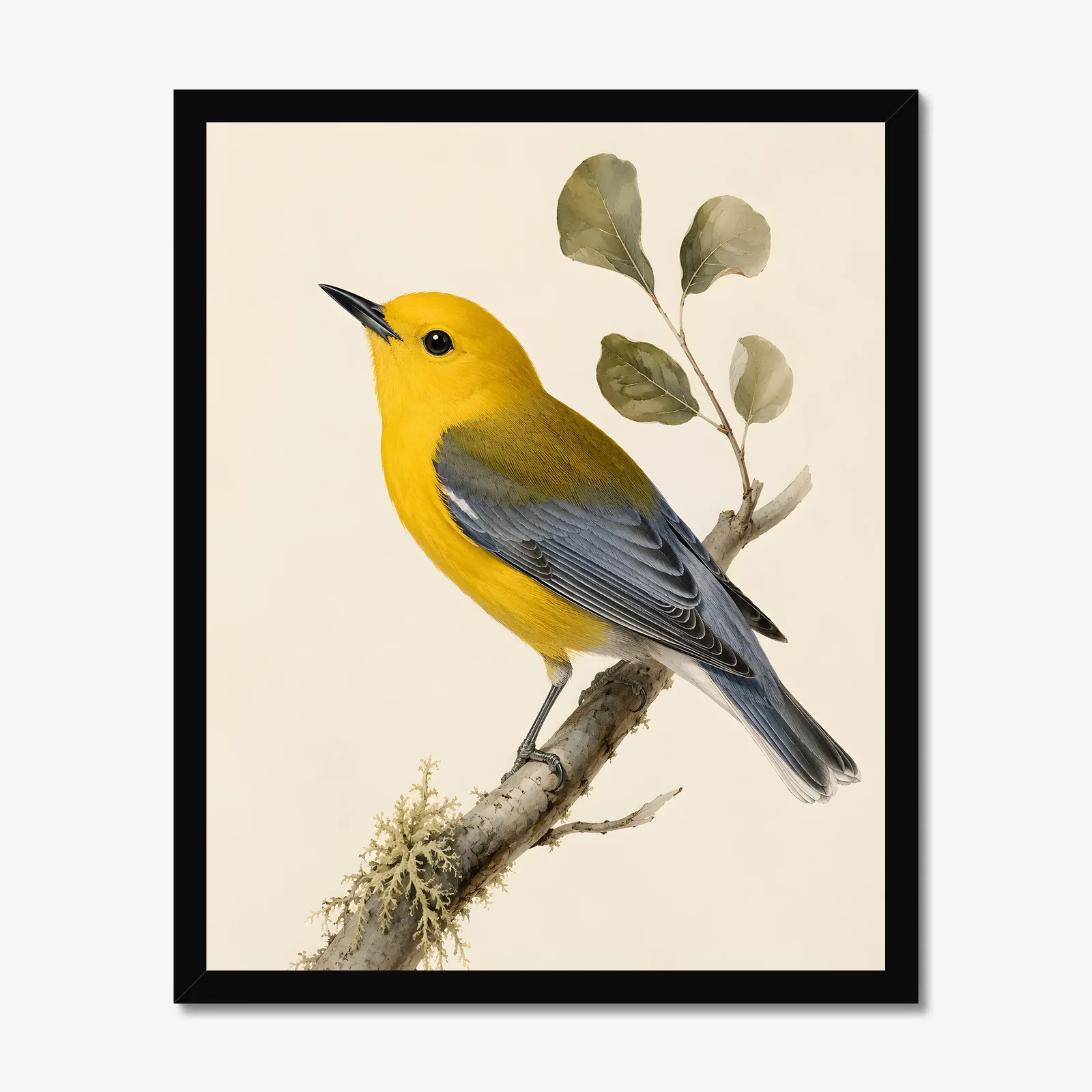 Prothonotary Warbler Print in a black frame