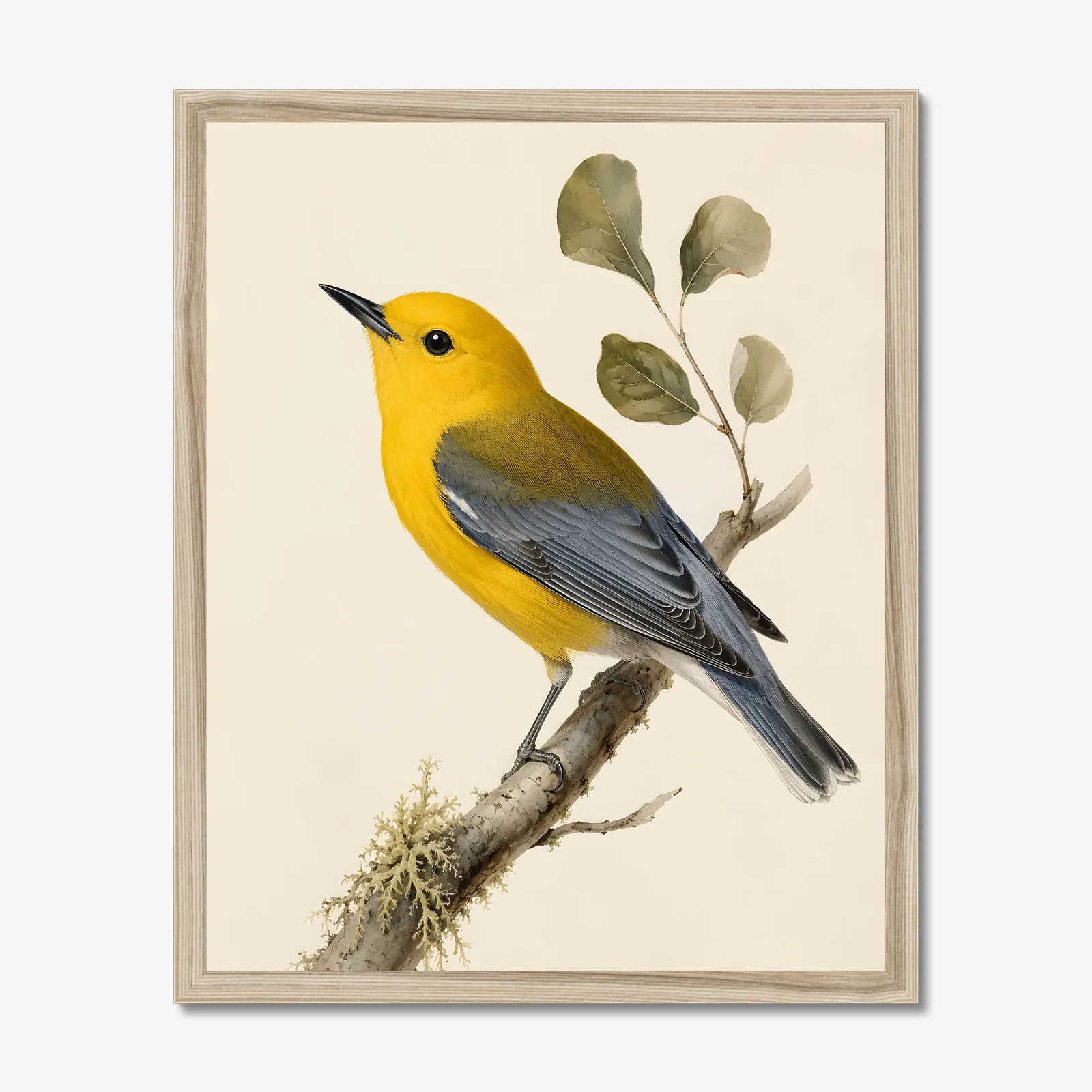 Prothonotary Warbler Print in a natural frame