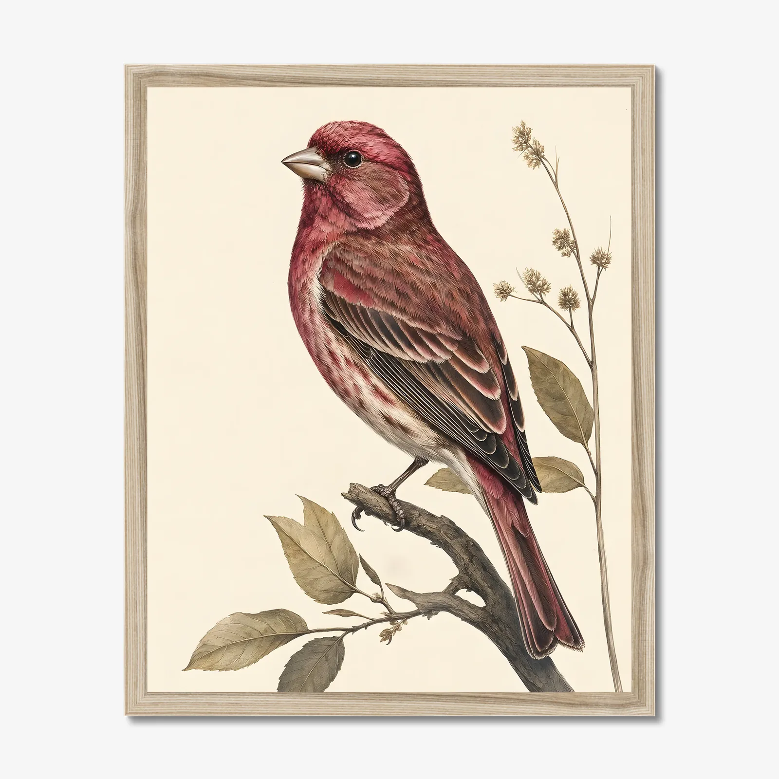 Purple Finch Print in a natural frame