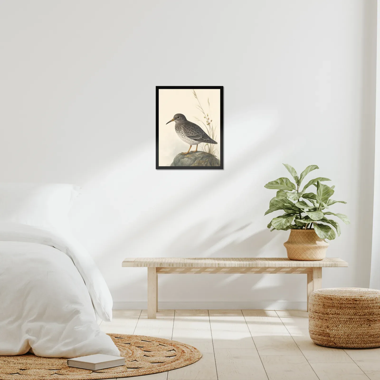Purple Sandpiper Print framed at 16x20 inches, shown on a wall to scale