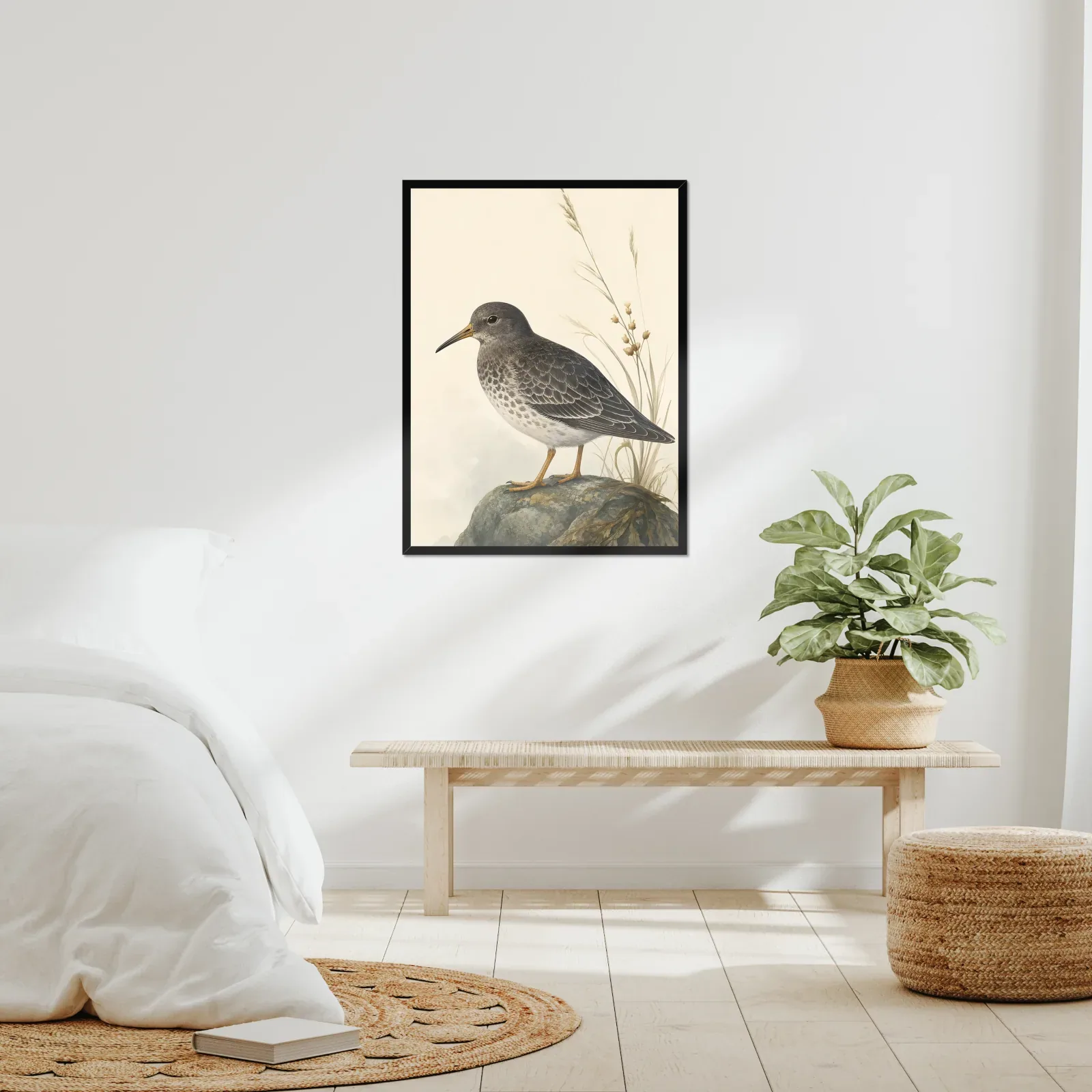 Purple Sandpiper Print framed at 24x30 inches, shown on a wall to scale
