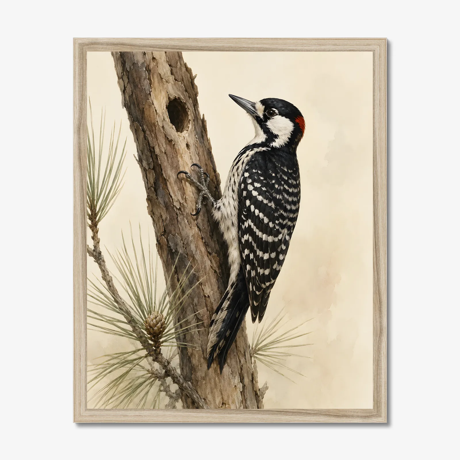 Red-cockaded Woodpecker Print in a natural frame
