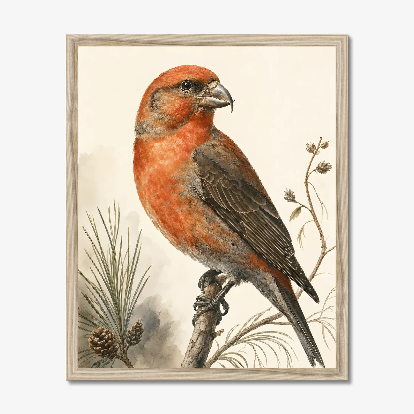 Red Crossbill Print shown as a fine-art print