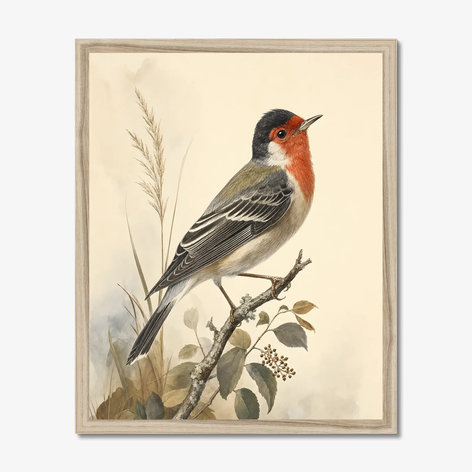 Red-faced Warbler Print in a natural frame