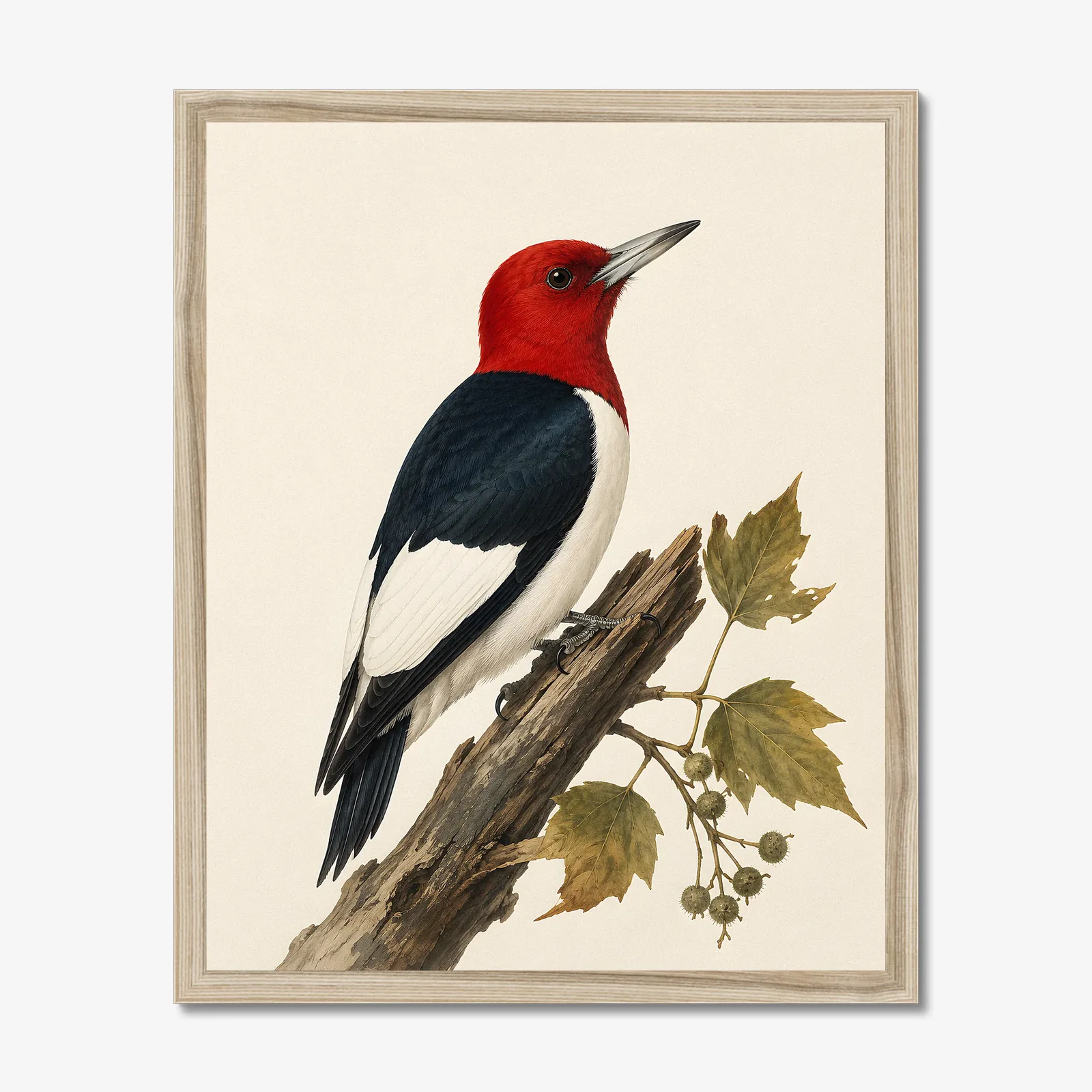 Red-headed Woodpecker Print in a natural frame