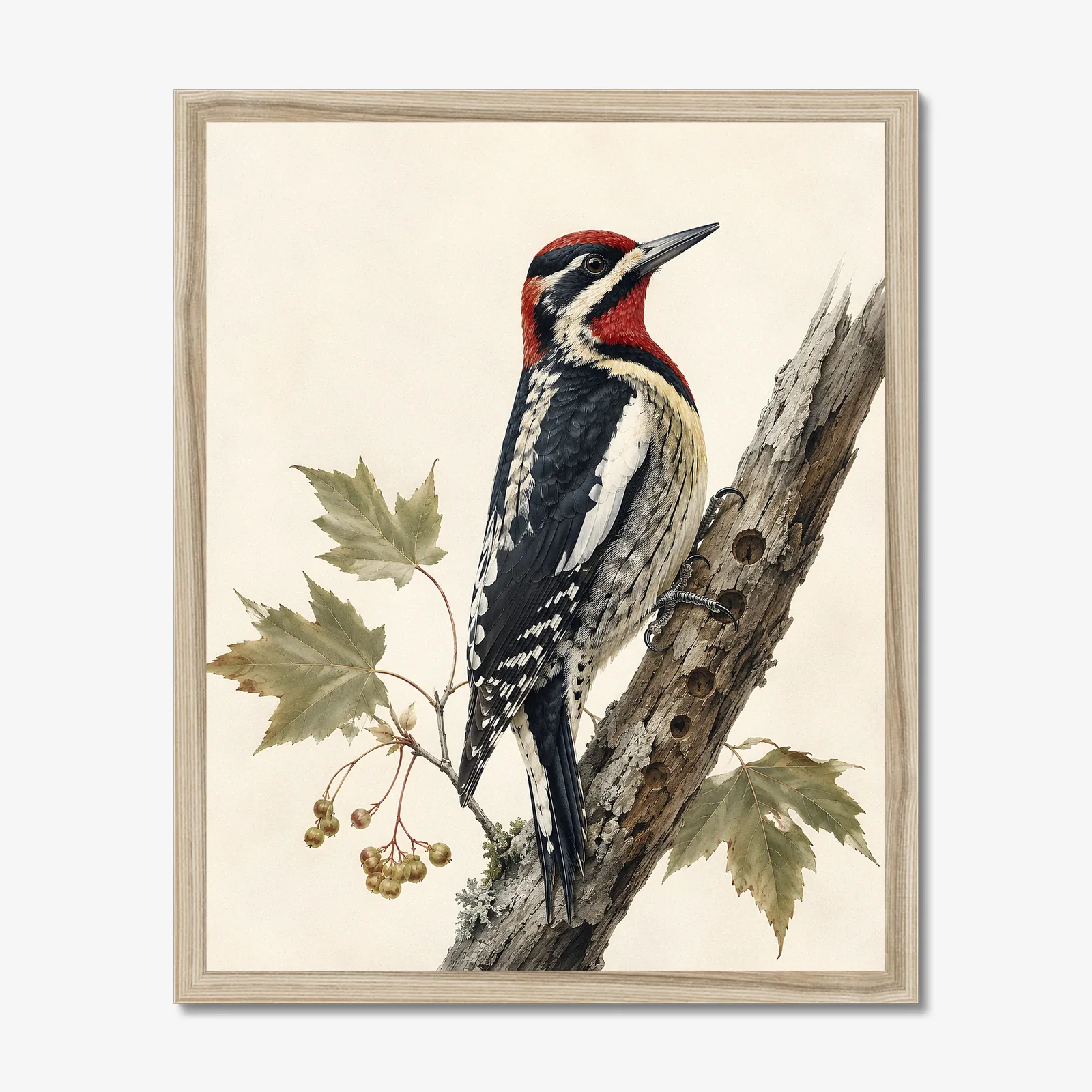 Red-naped Sapsucker Print in a natural frame