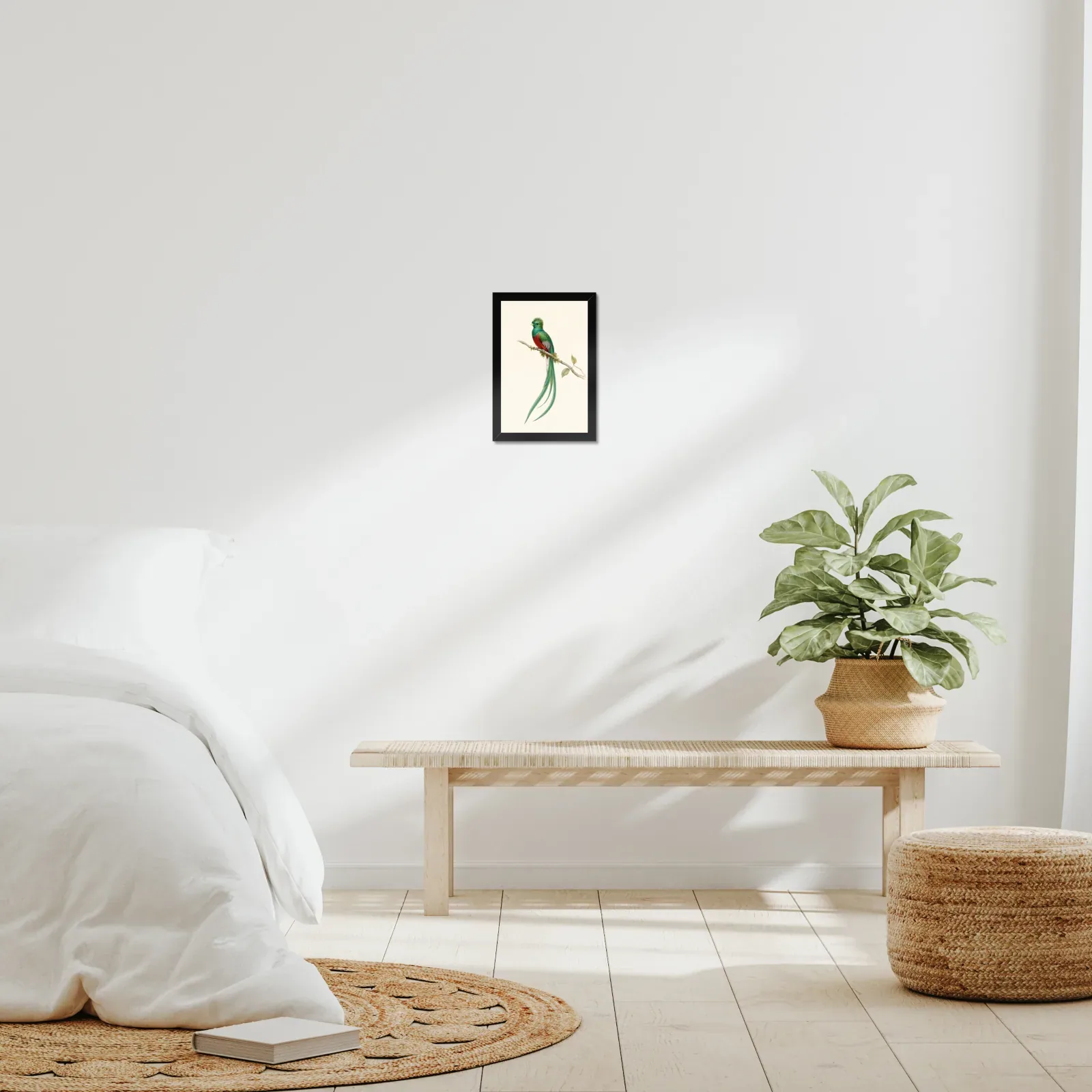 Resplendent Quetzal Print framed at 8x10 inches, shown on a wall to scale
