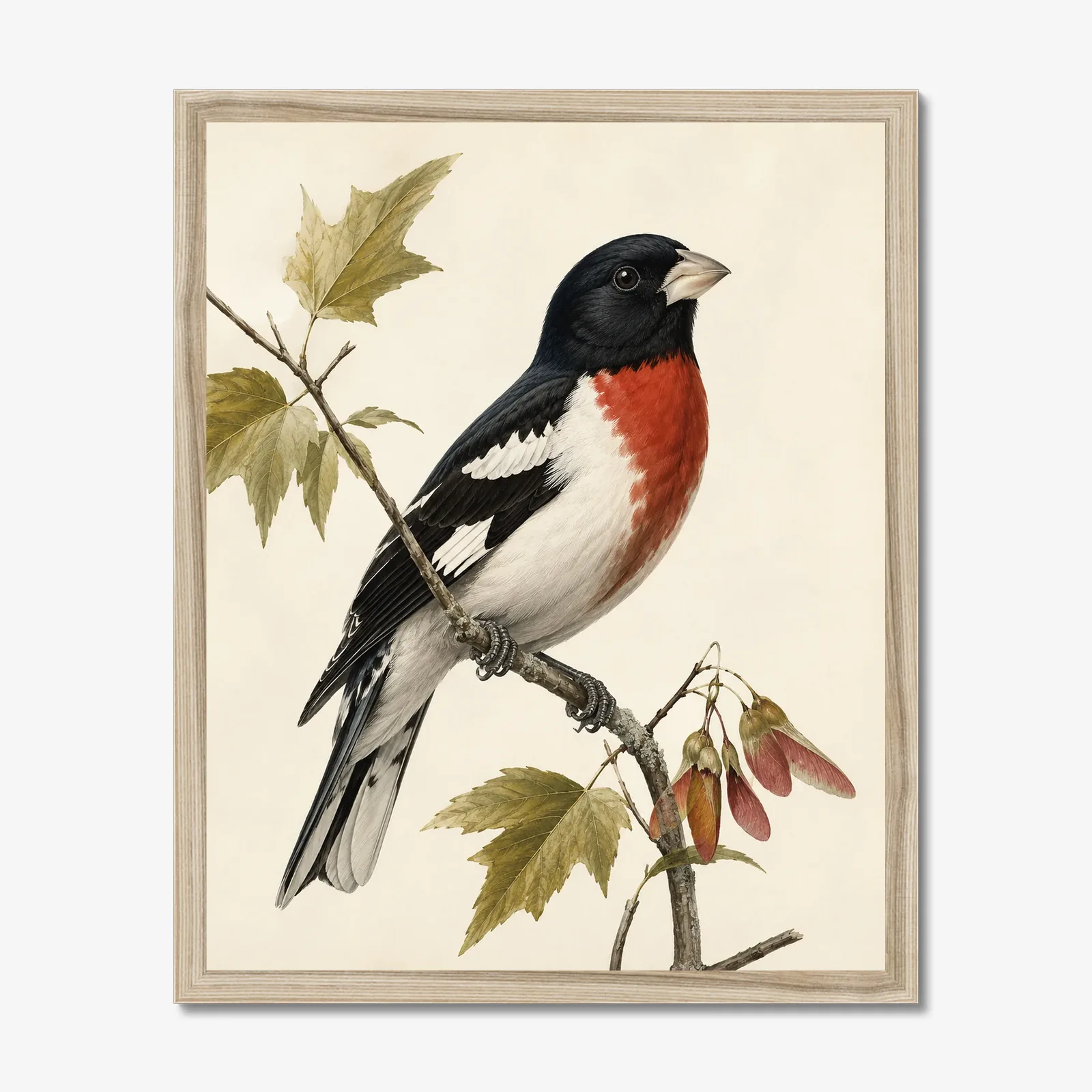 Rose-breasted Grosbeak Print in a natural frame