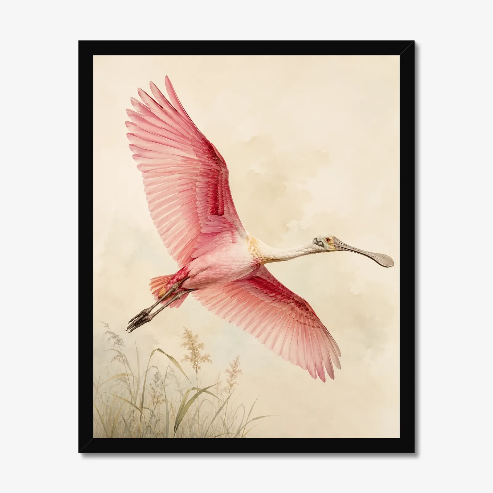 Roseate Spoonbill Print - In Flight in a black frame