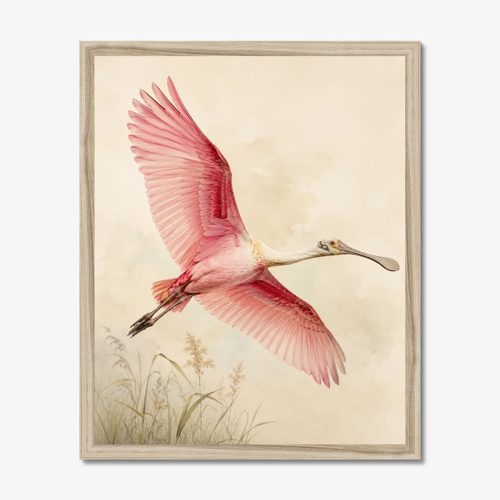 Roseate Spoonbill Print - In Flight in a natural frame