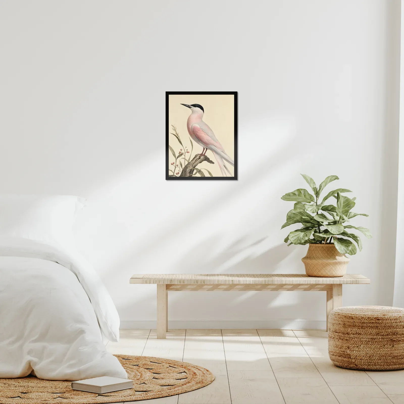 Roseate Tern Print framed at 16x20 inches, shown on a wall to scale