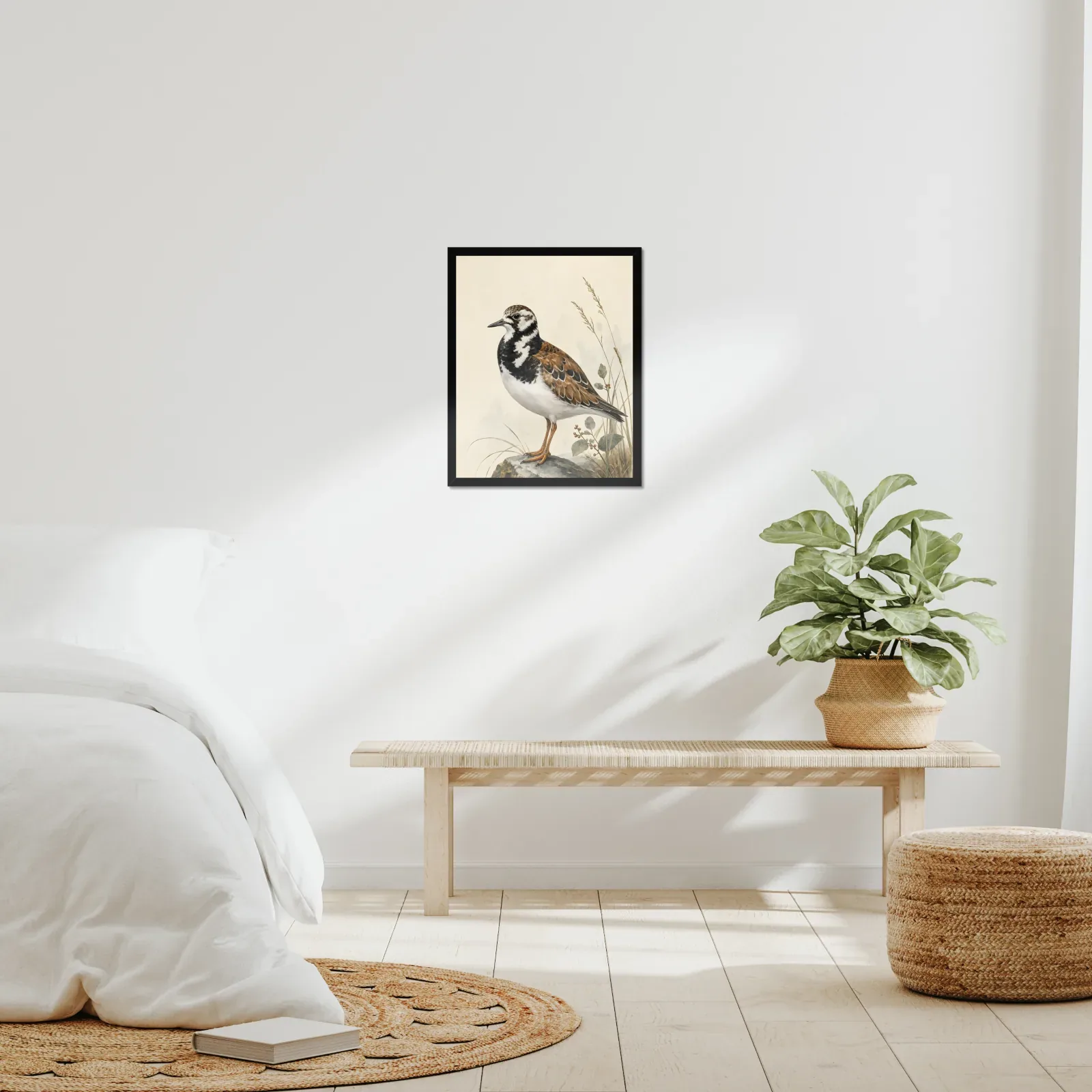 Ruddy Turnstone Print framed at 16x20 inches, shown on a wall to scale