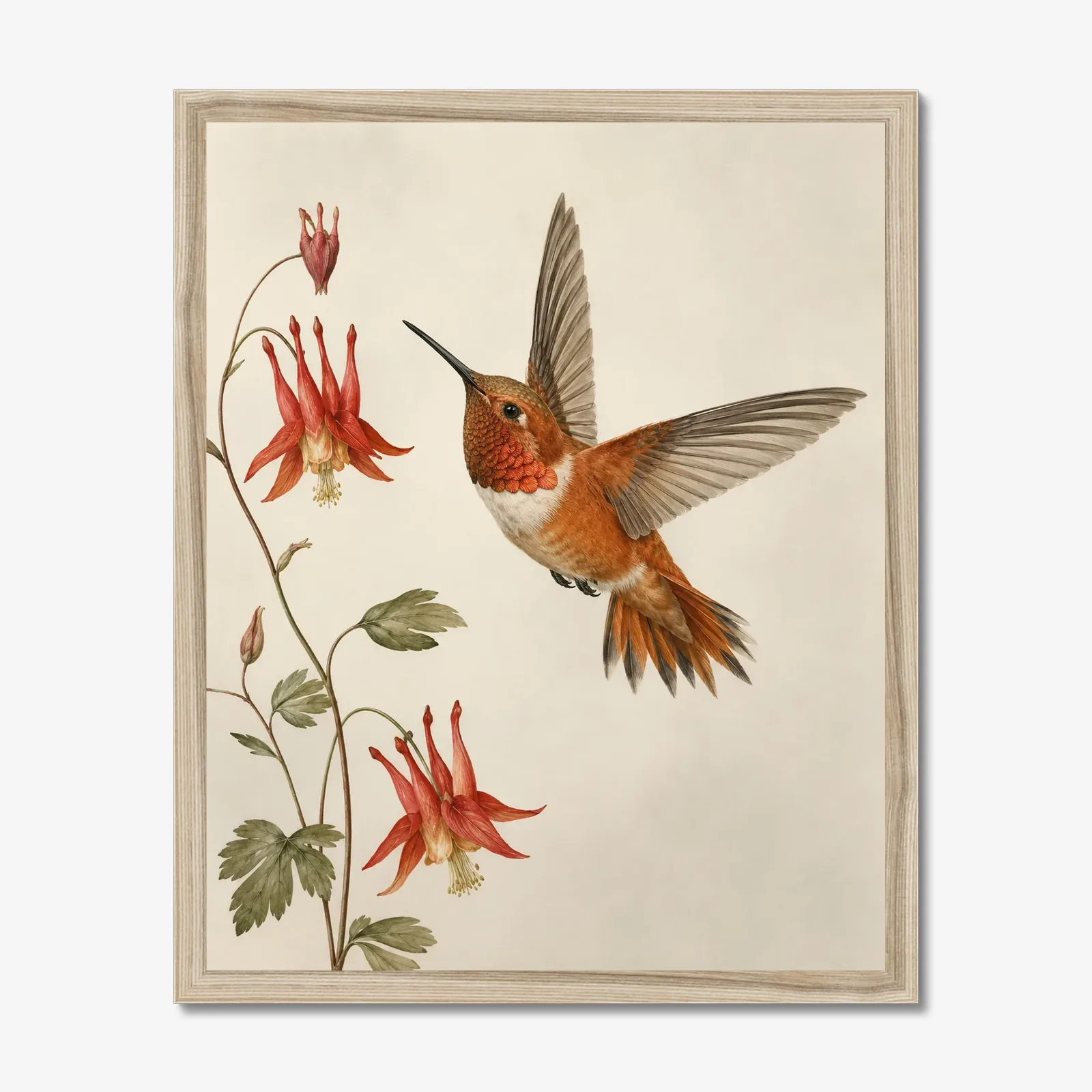 Rufous Hummingbird Print shown as a fine-art print