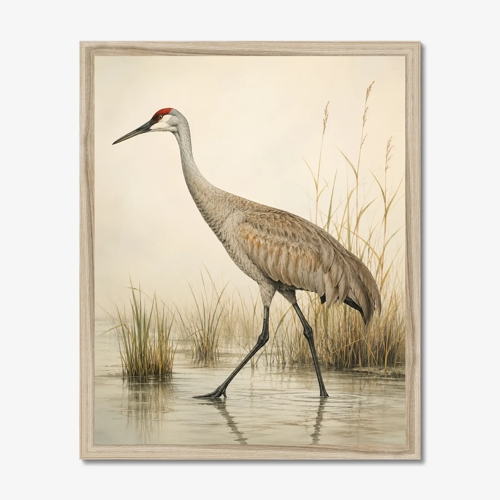 Sandhill Crane print shown as a fine-art print