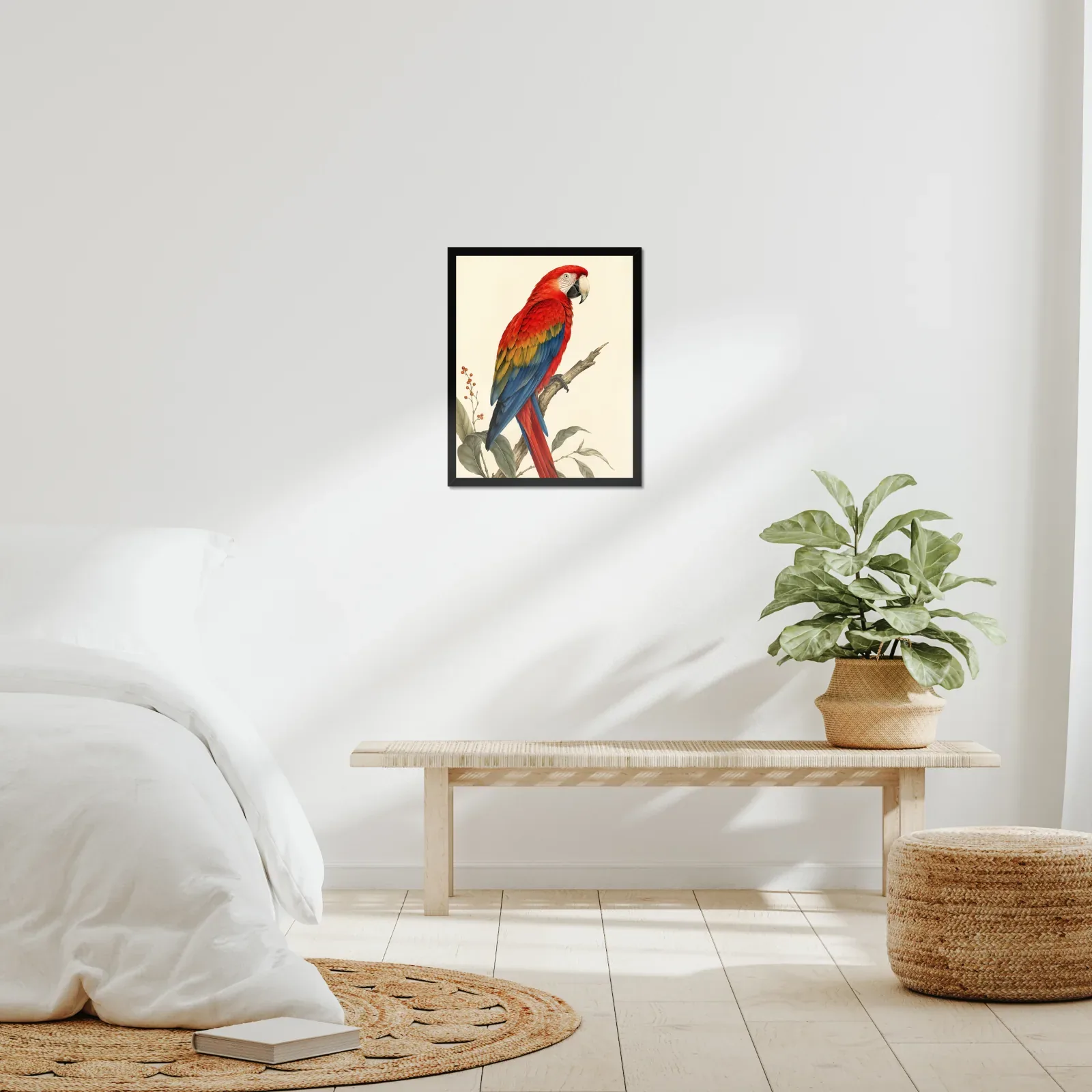 Scarlet Macaw Print framed at 16x20 inches, shown on a wall to scale
