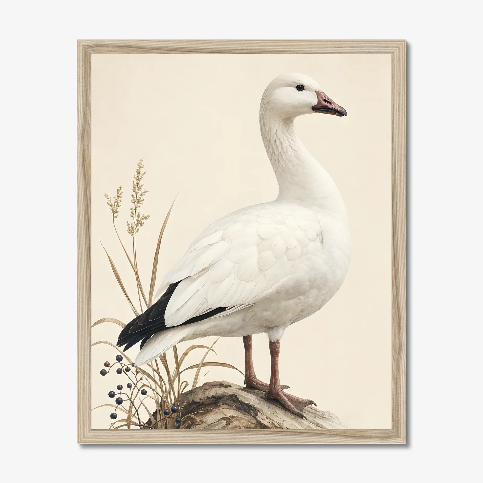Snow Goose Print in a natural frame